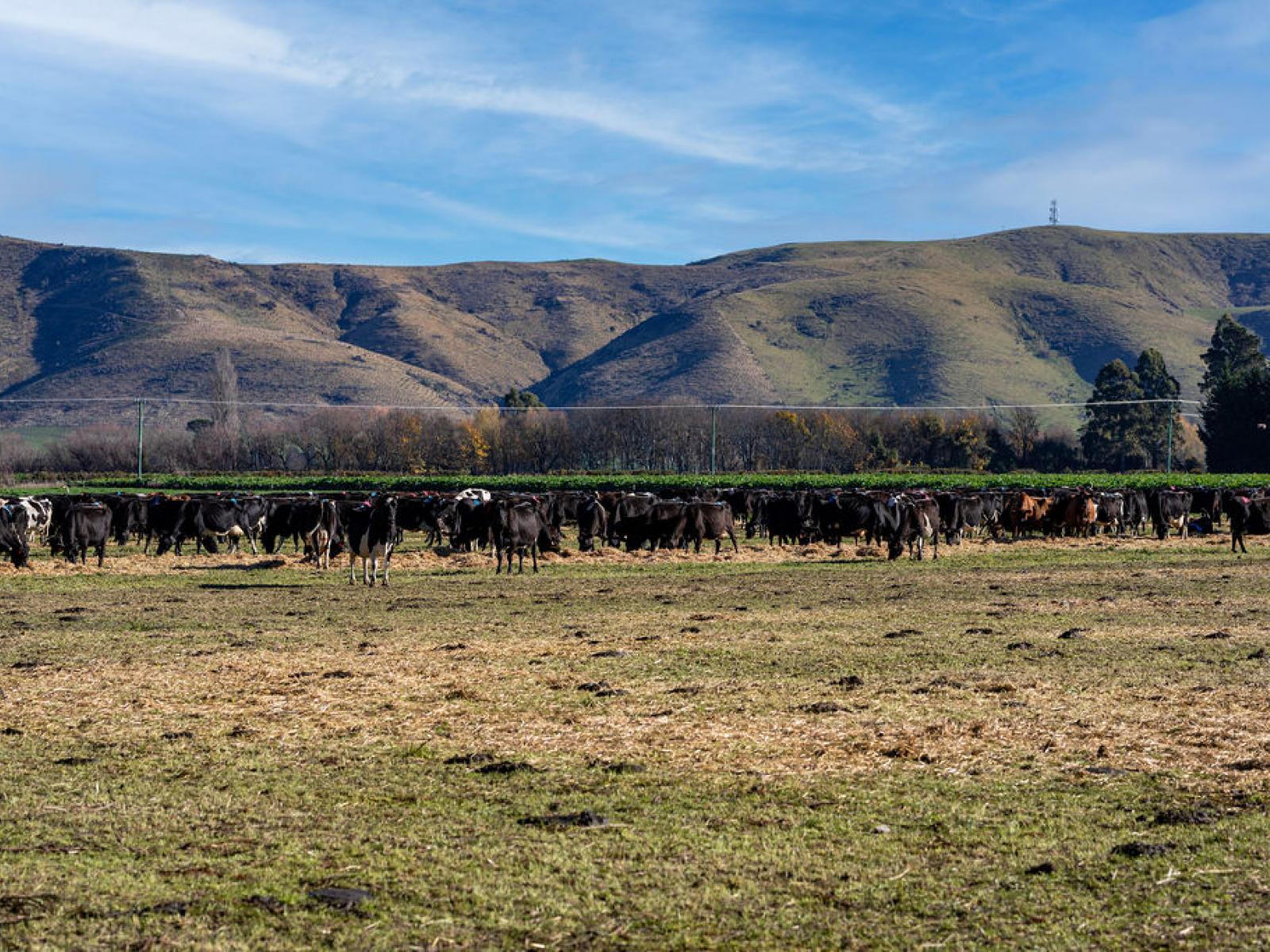 65 Anama Station Road, Mount Somers
