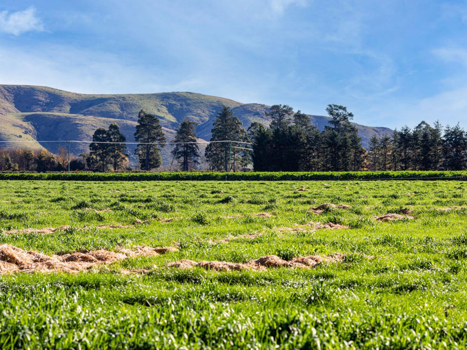 65 Anama Station Road, Mount Somers