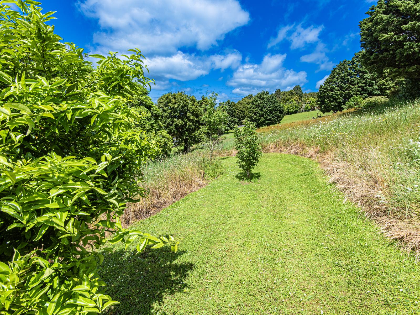 846 State Highway 14, Maungatapere