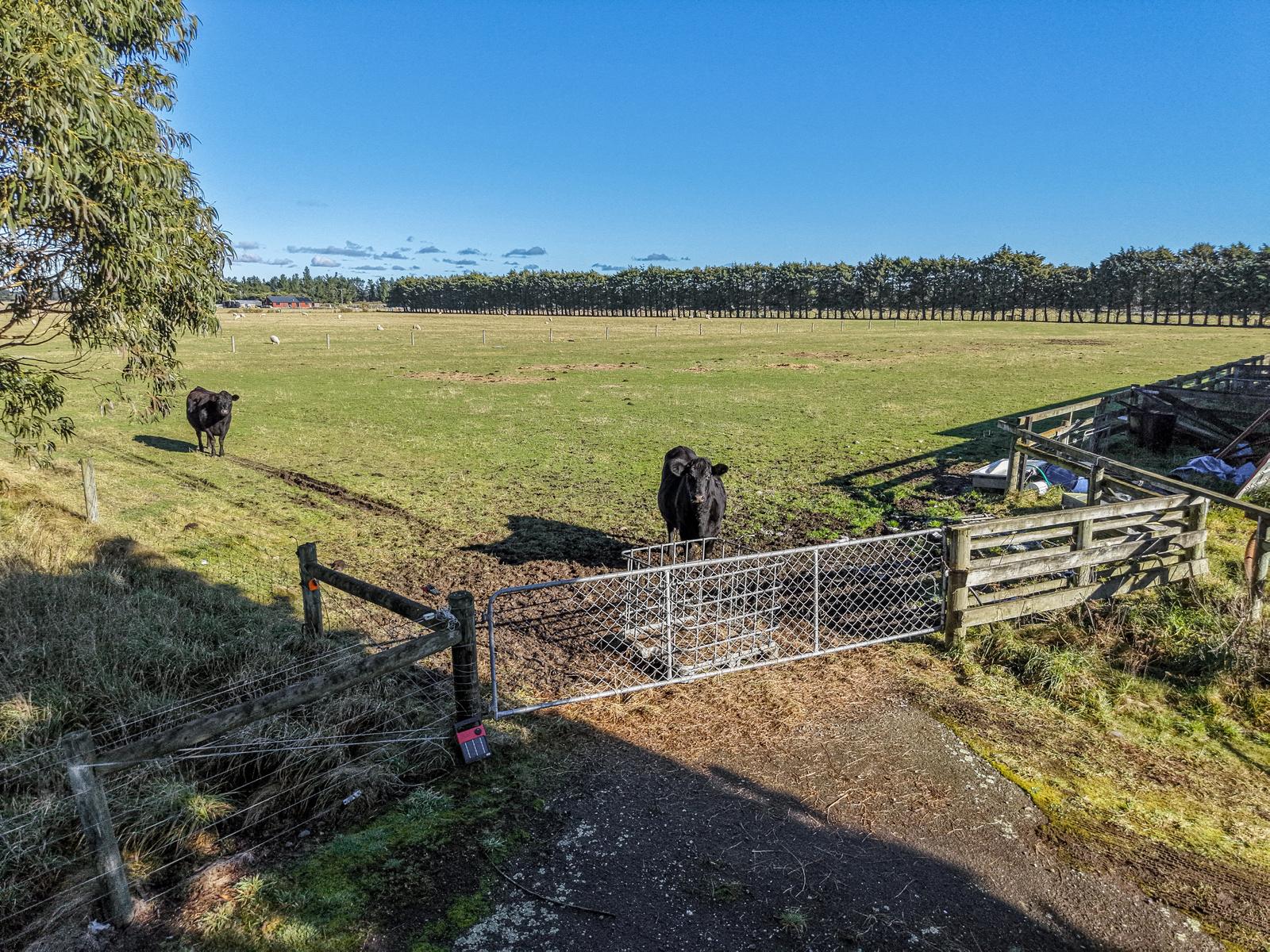77 Leslies Road, Cust