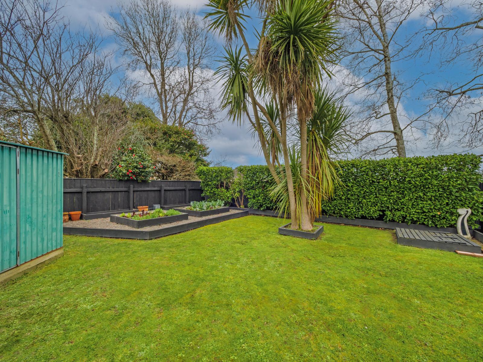 47 Alfred Street, Roslyn