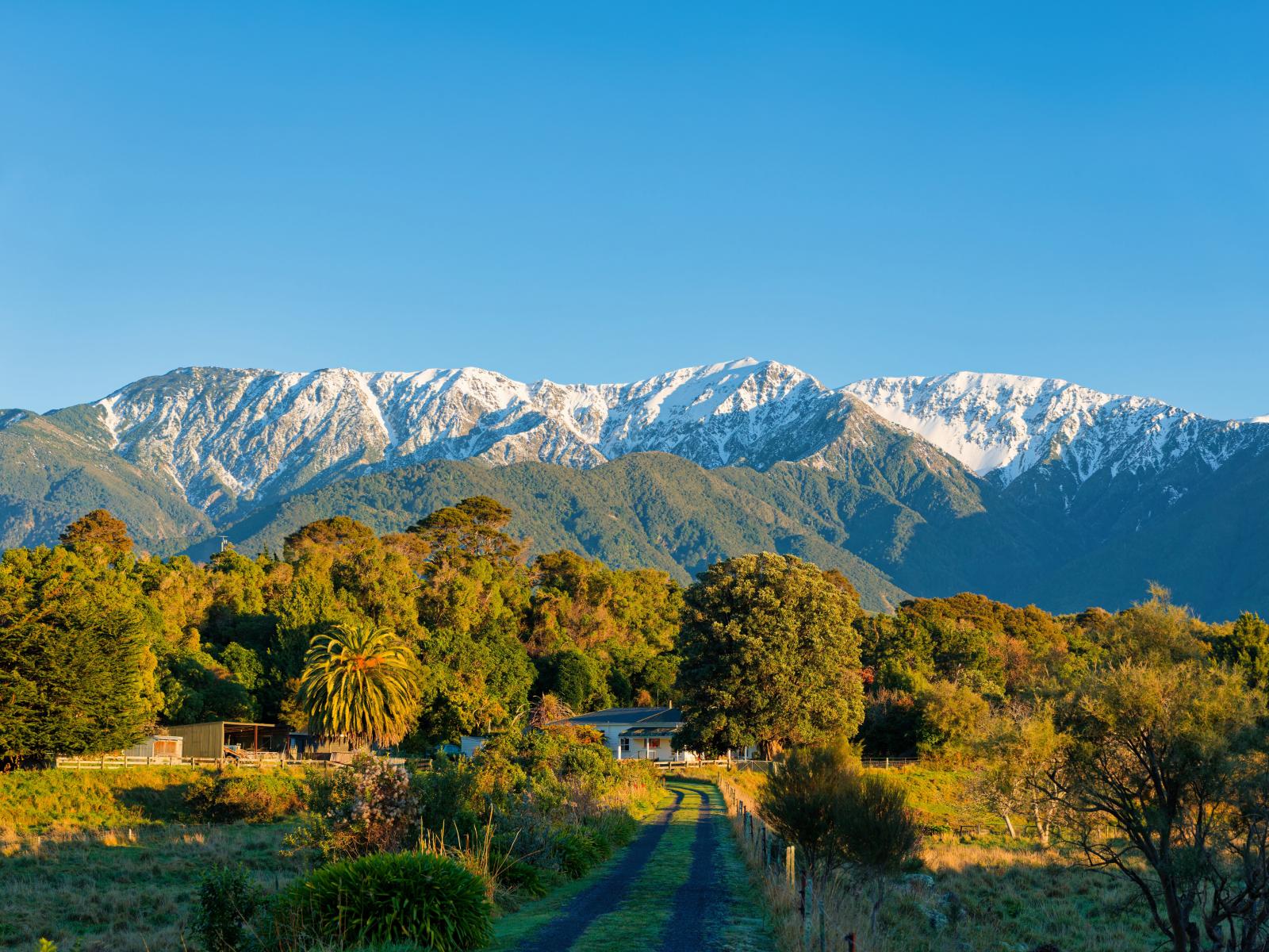 121 Lovers Lane, Kaikoura