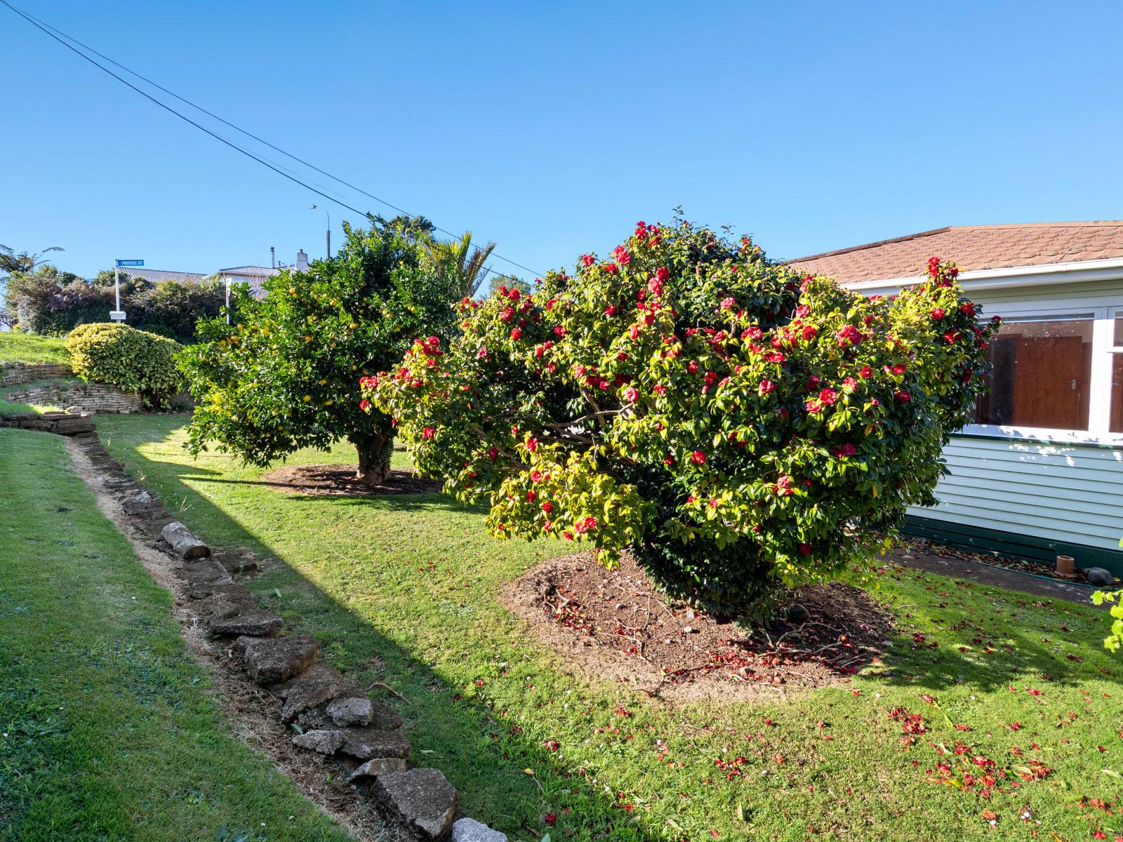 99 Clawton Street, Westown