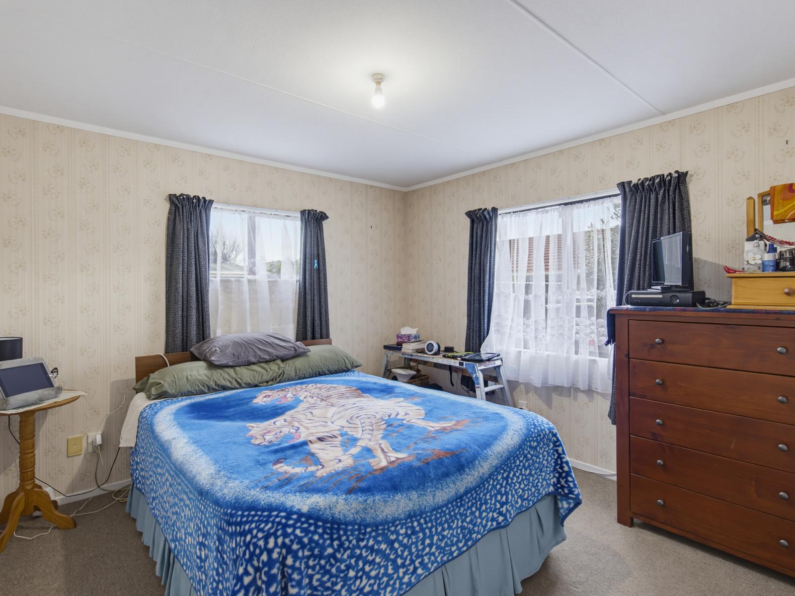 13 Douglas Street, Levin