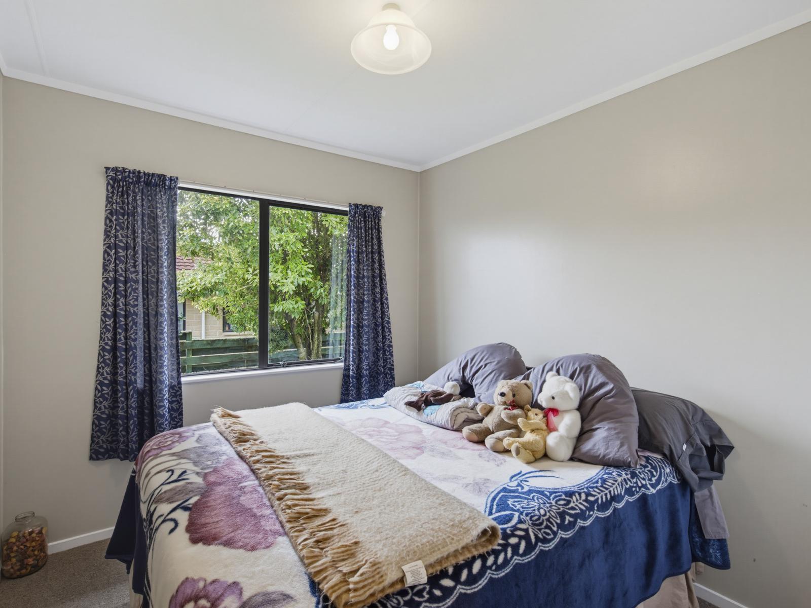 13 Douglas Street, Levin