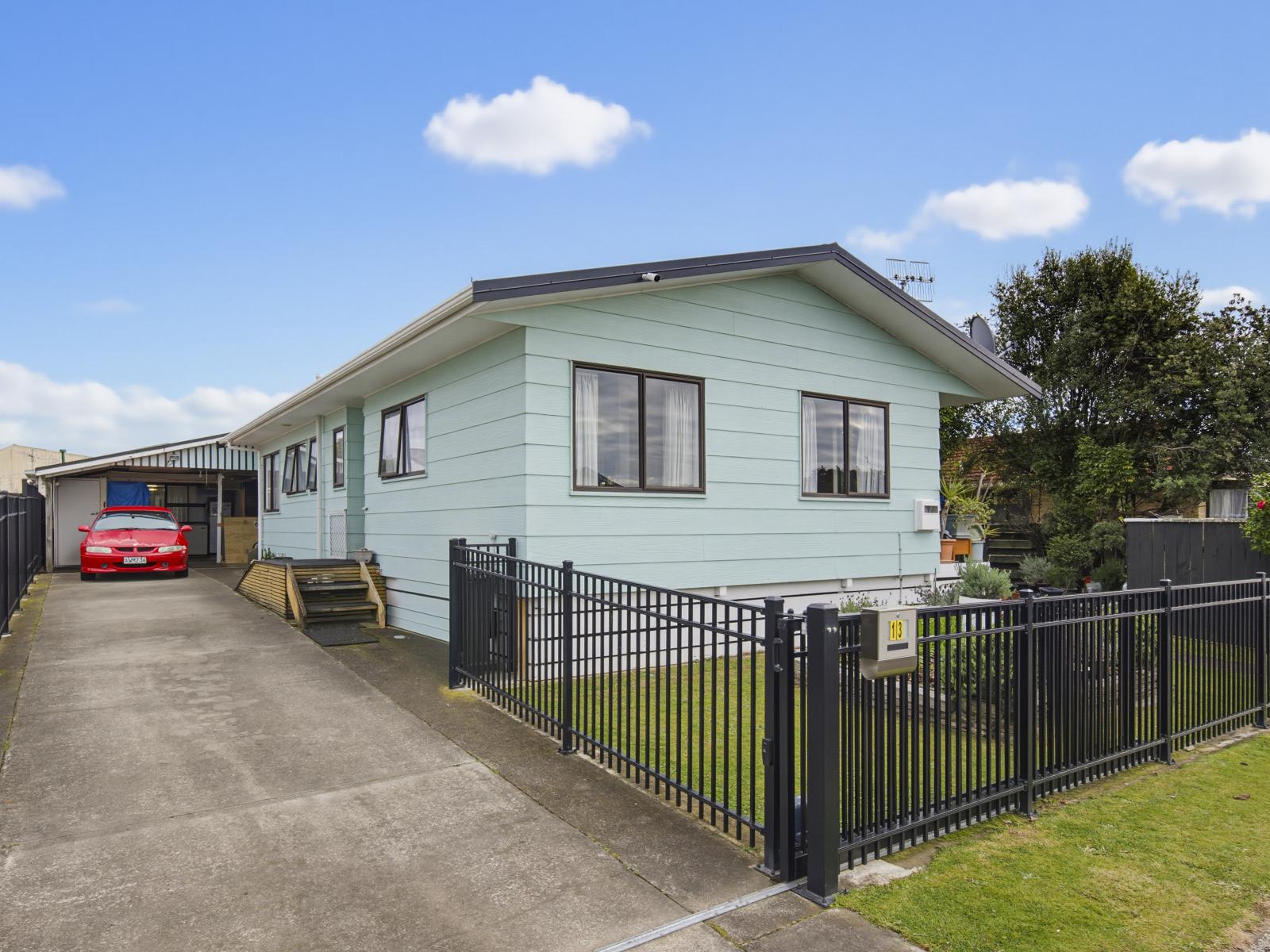 13 Douglas Street, Levin