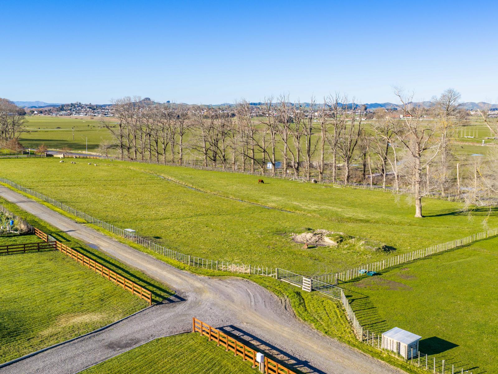 3A JG Wilson Drive, Waipukurau