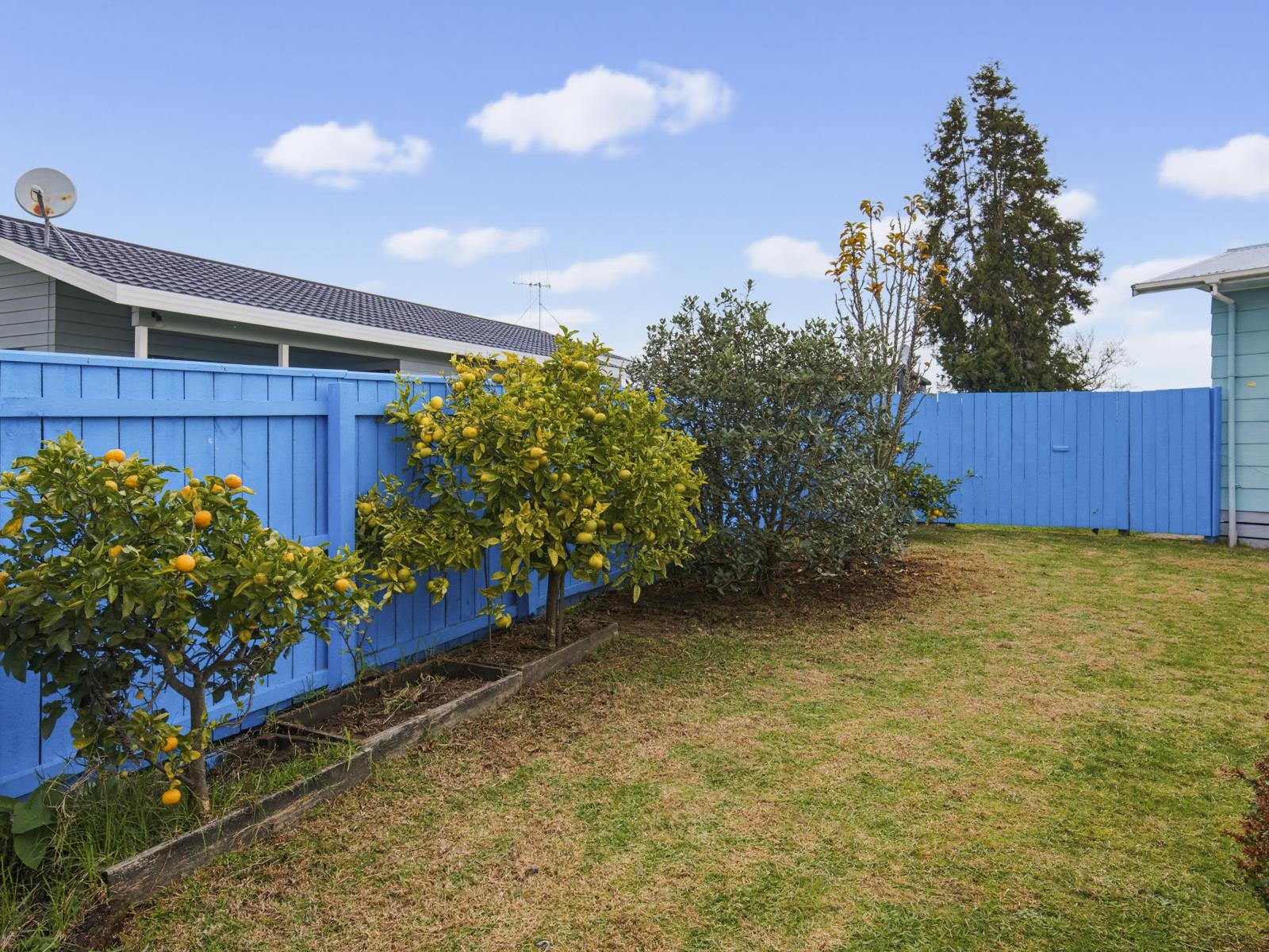23 Douglas Street, Levin