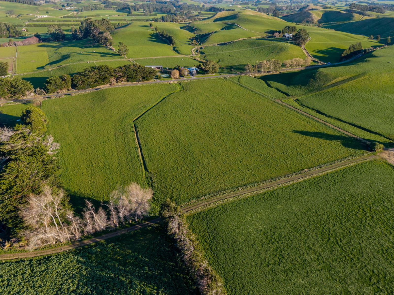 Parkville Road, Eketahuna