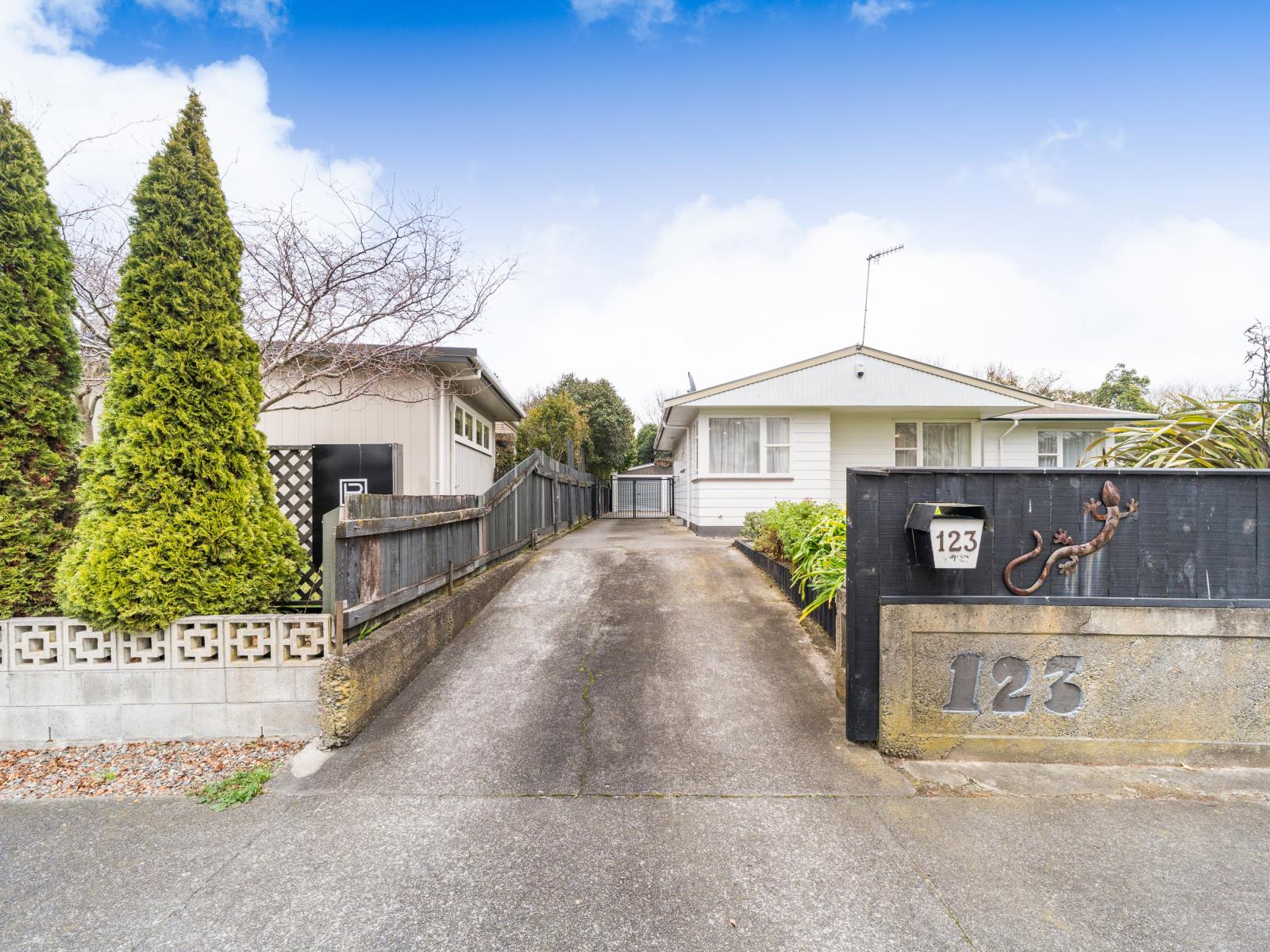 123 Ruamahanga Crescent, Terrace End