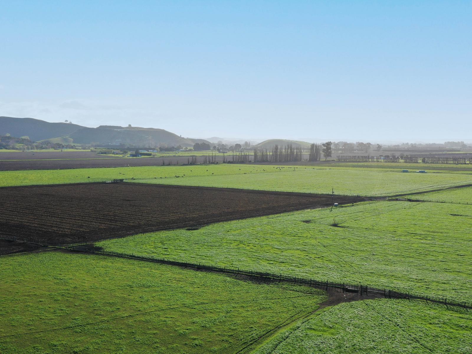 85 West Road, Havelock North