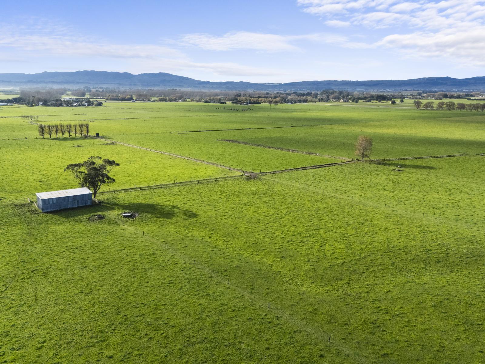 971B Rangitikei Line, Newbury