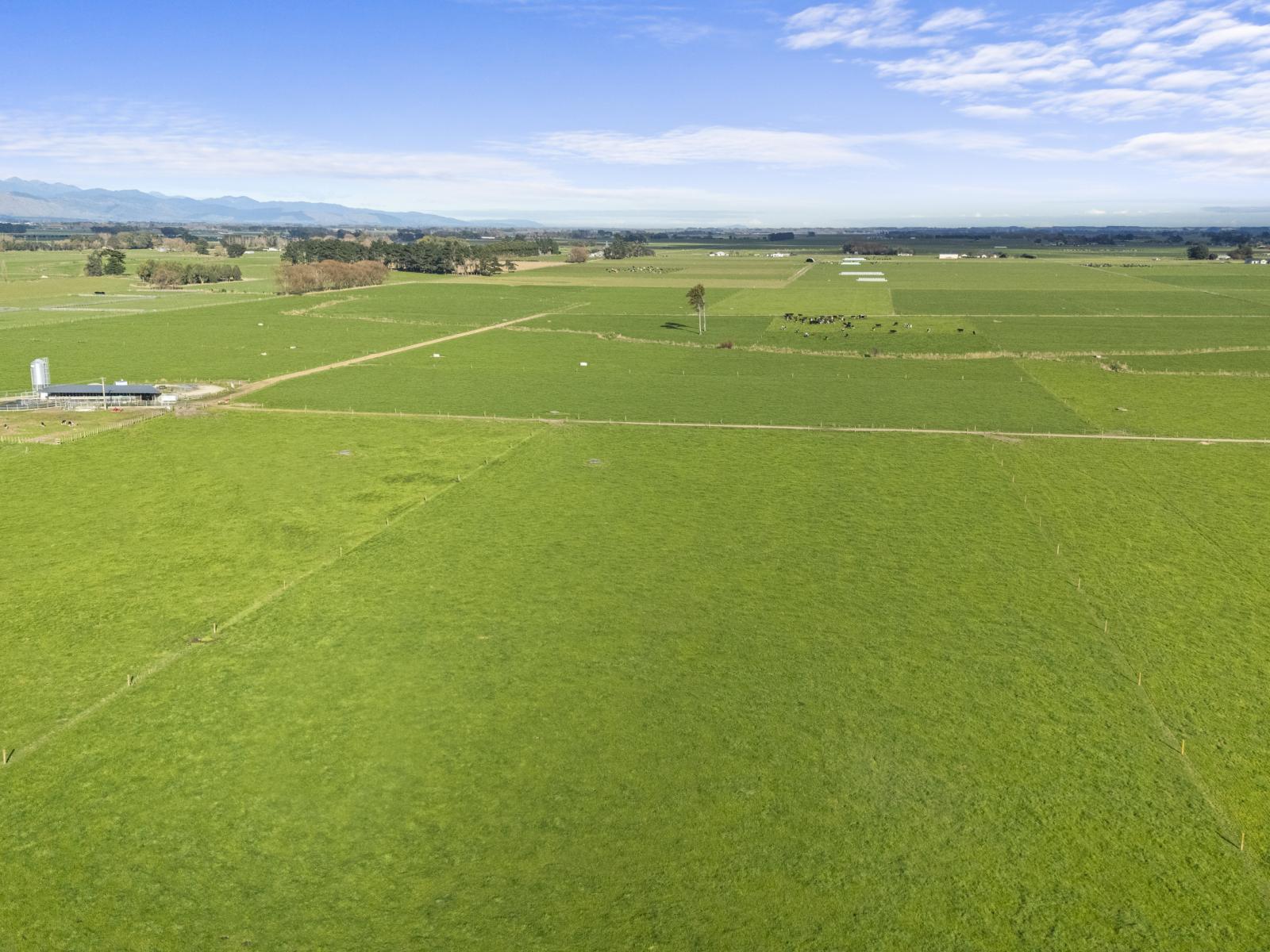971B Rangitikei Line, Newbury