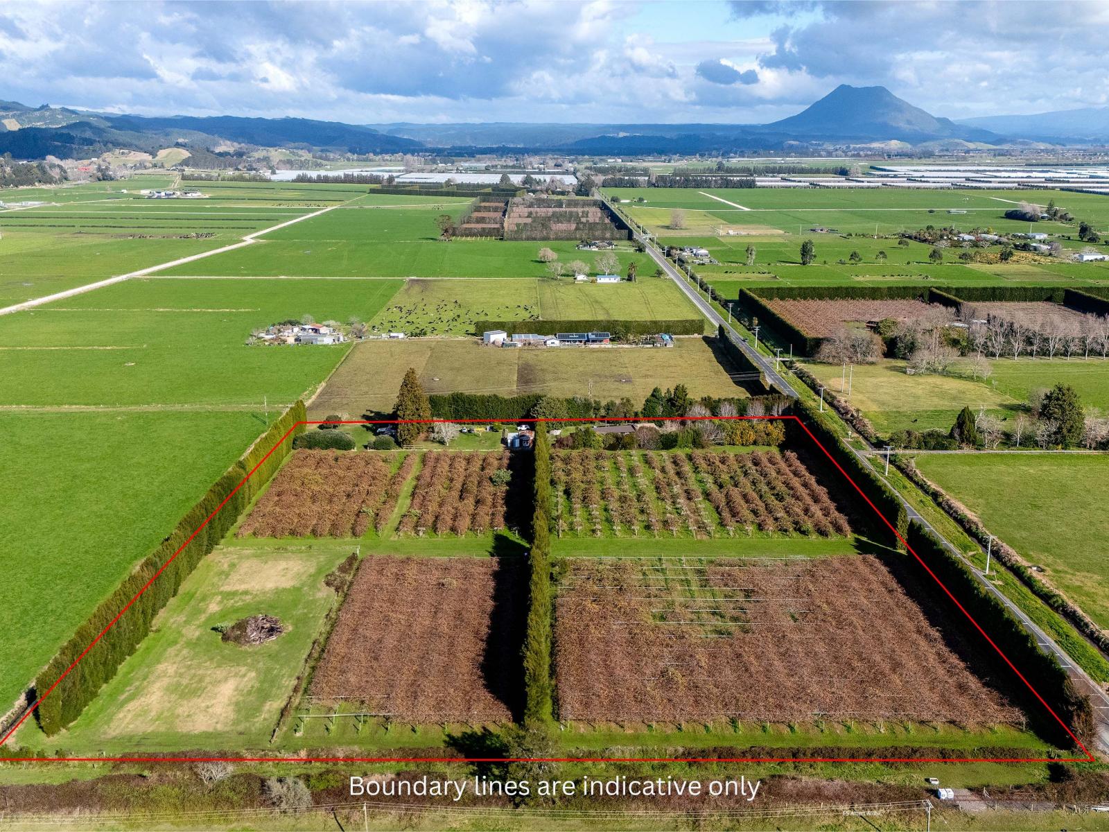 343 Western Drain Road, Edgecumbe