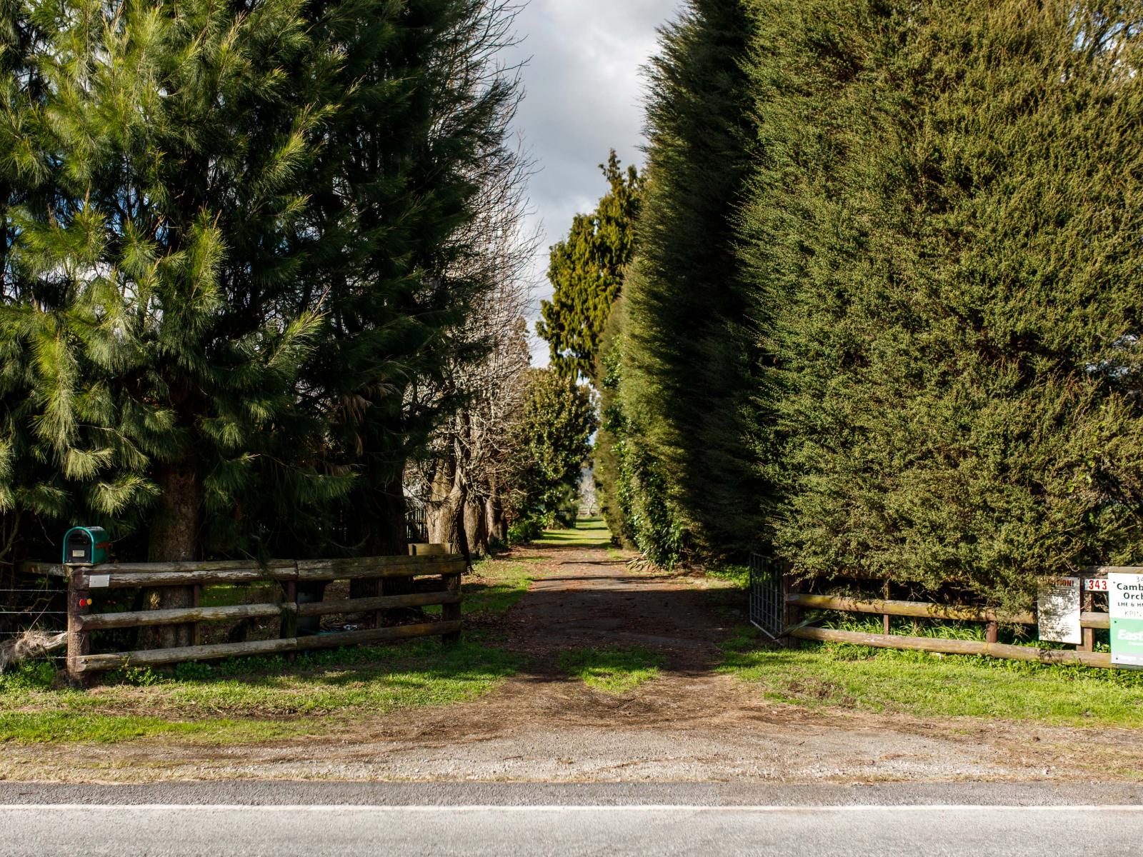 343 Western Drain Road, Edgecumbe