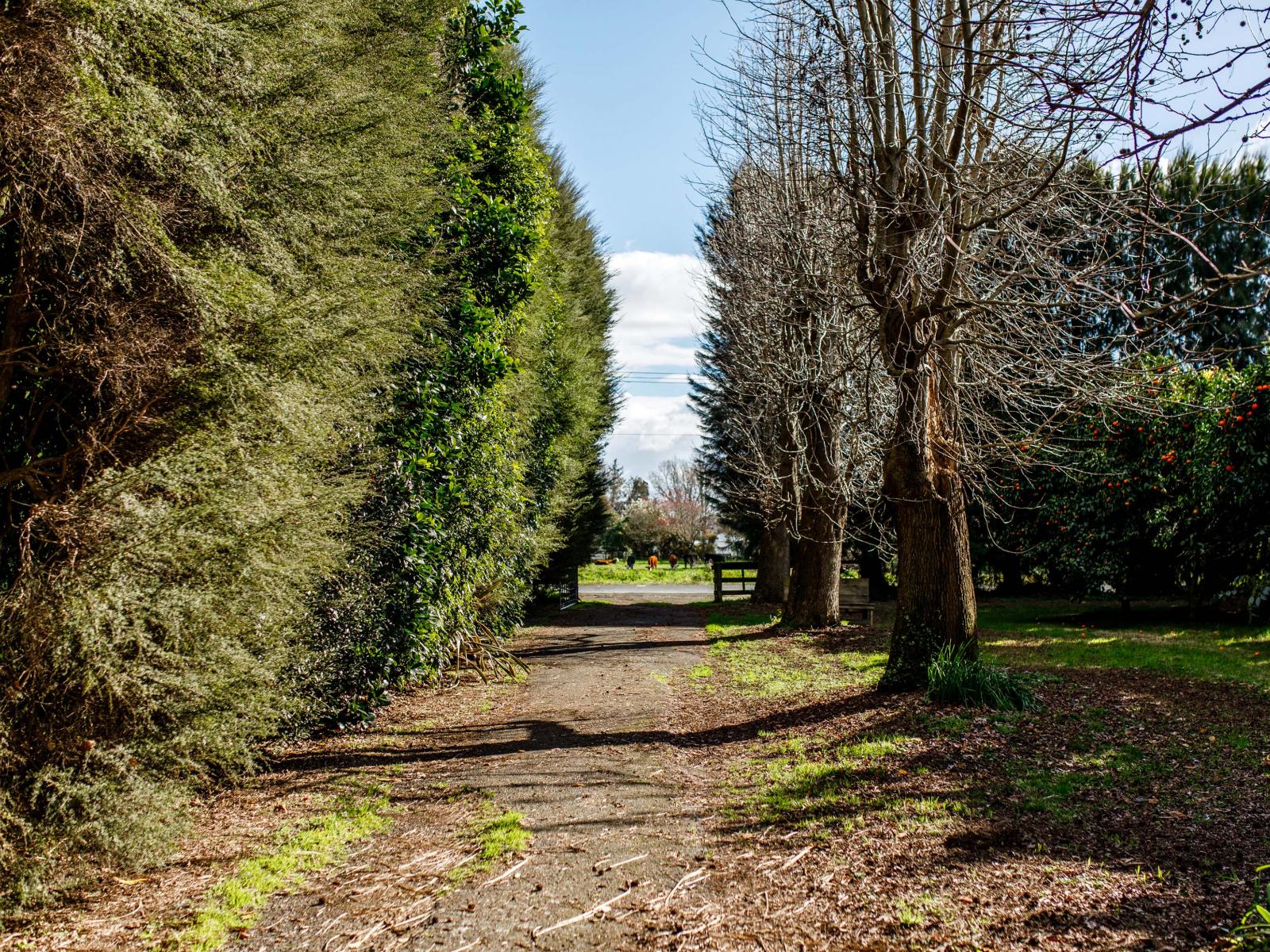 343 Western Drain Road, Edgecumbe