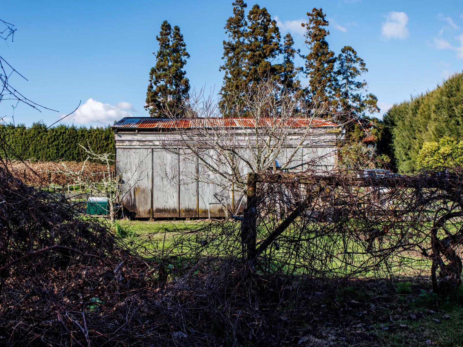 343 Western Drain Road, Edgecumbe
