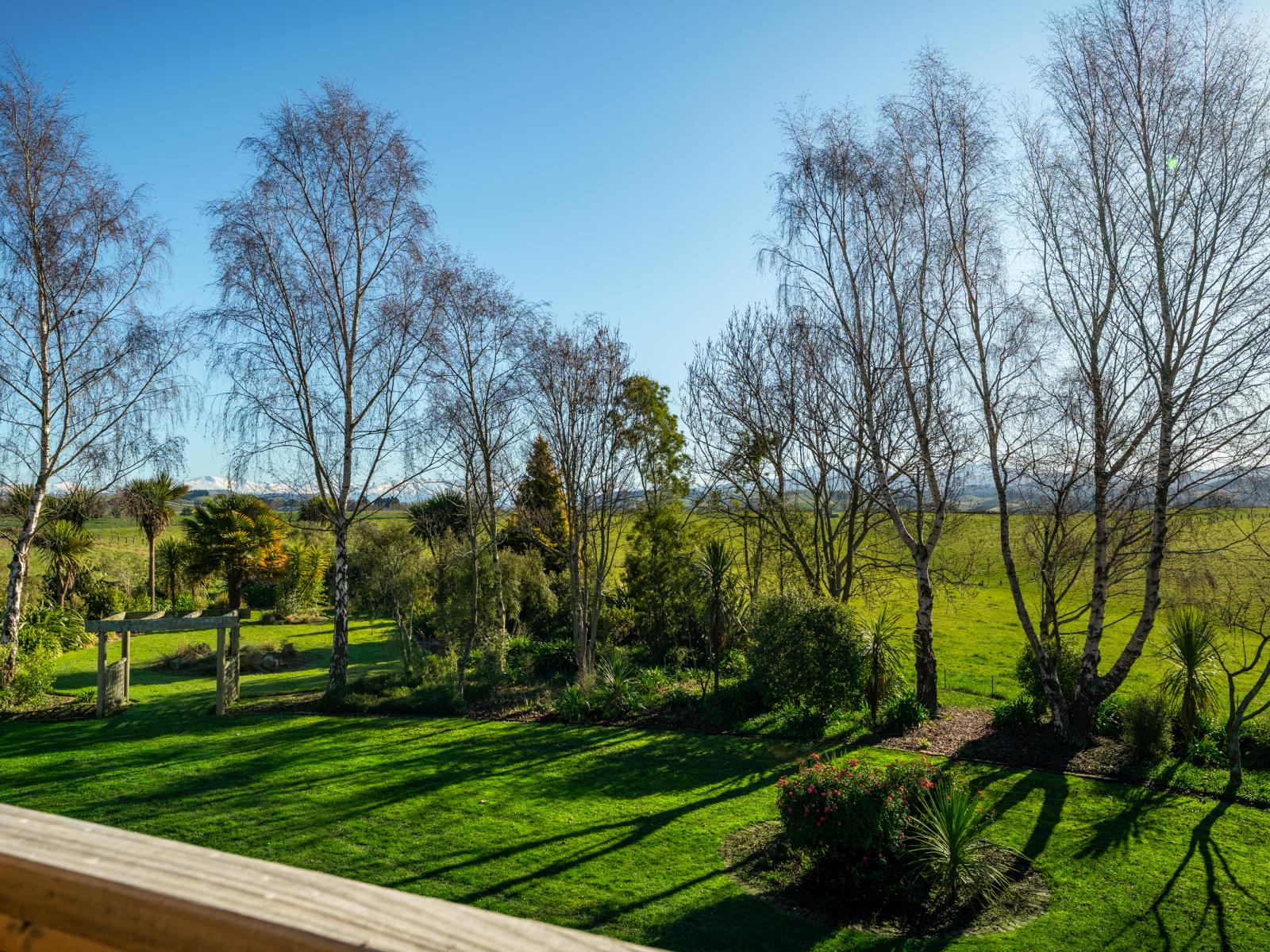 113 Opihi School Road, Pleasant Point