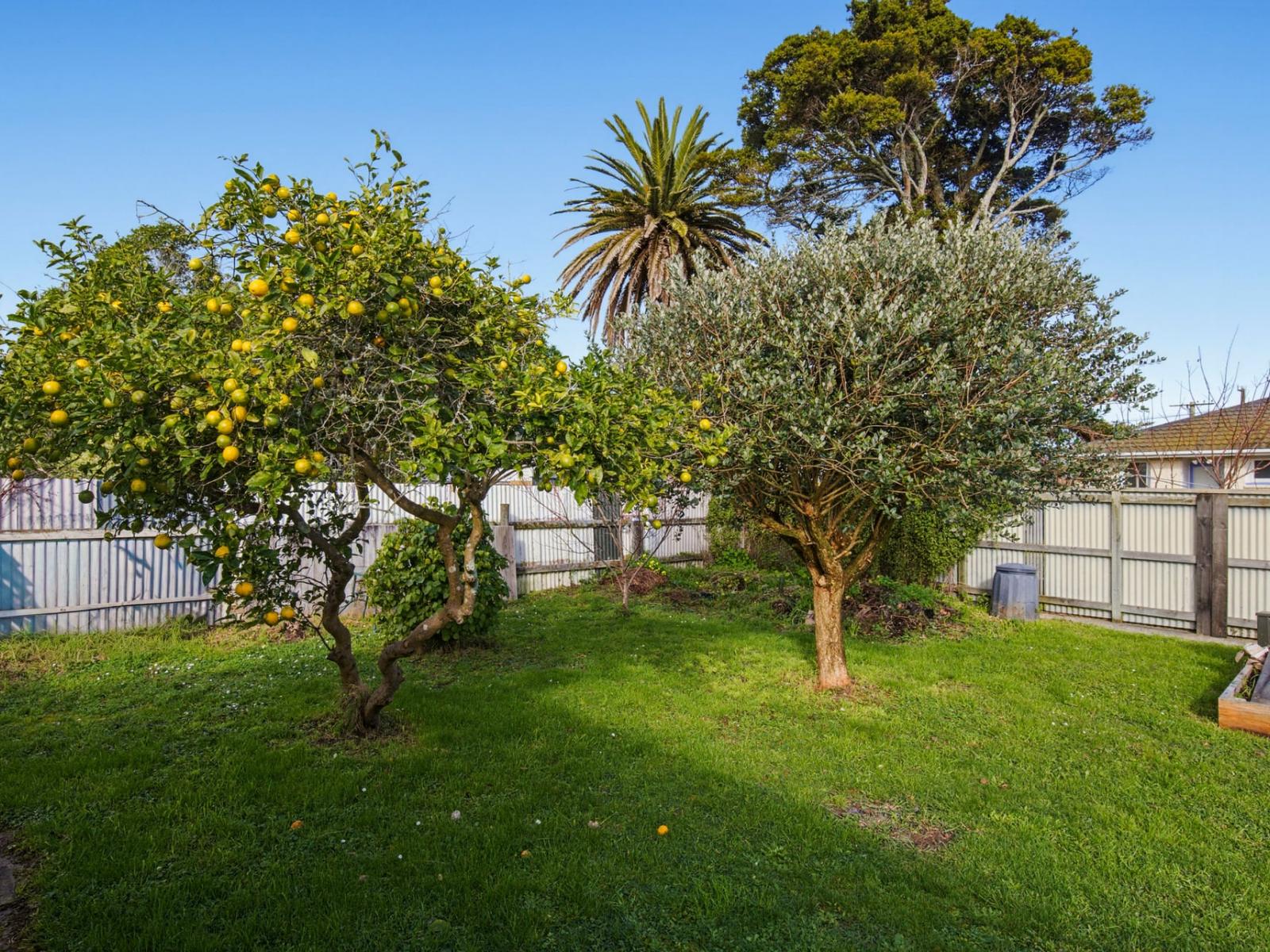 14 Dittmer Street, Otaki