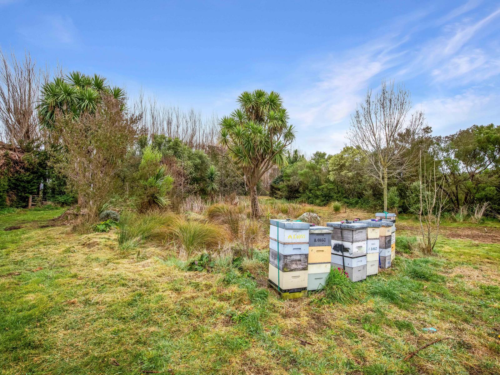 451 Ridge Road, Motukarara