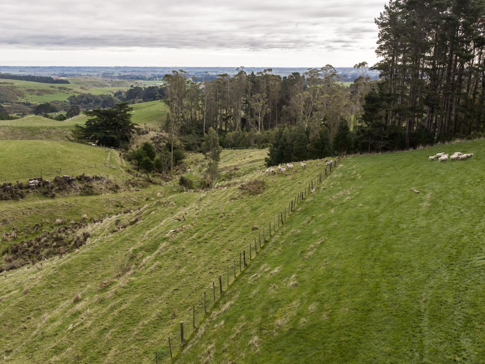 58 Greens Road, Linton