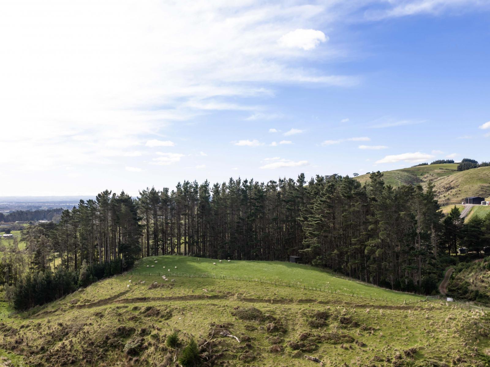 58 Greens Road, Linton