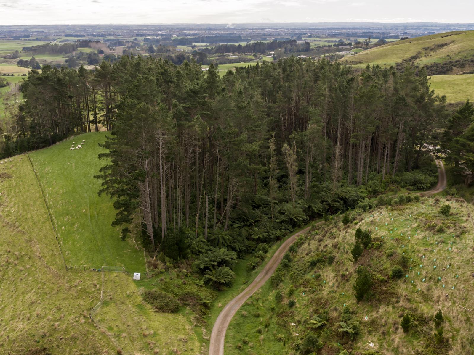 58 Greens Road, Linton