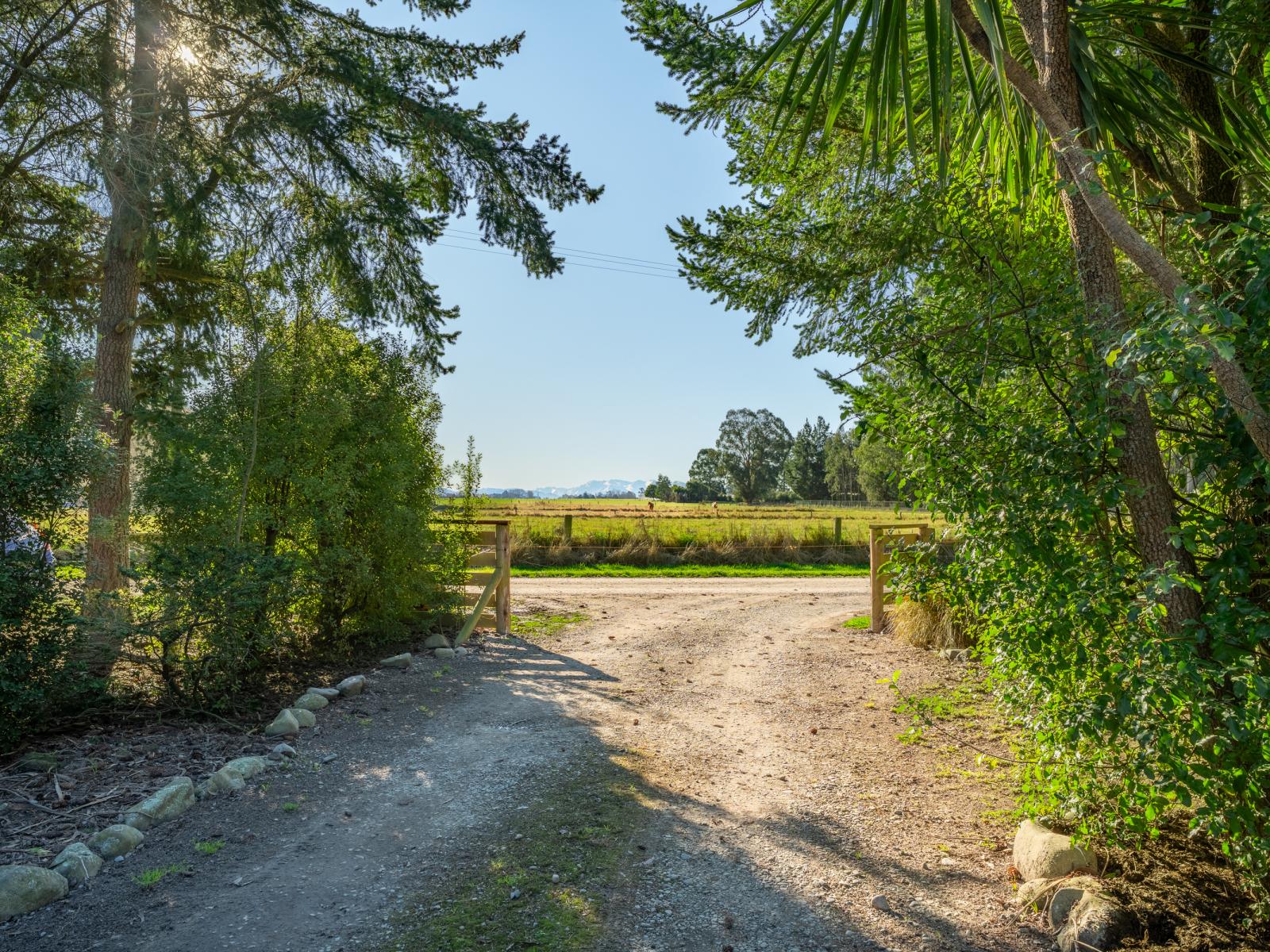 659 Taylor Road, Geraldine