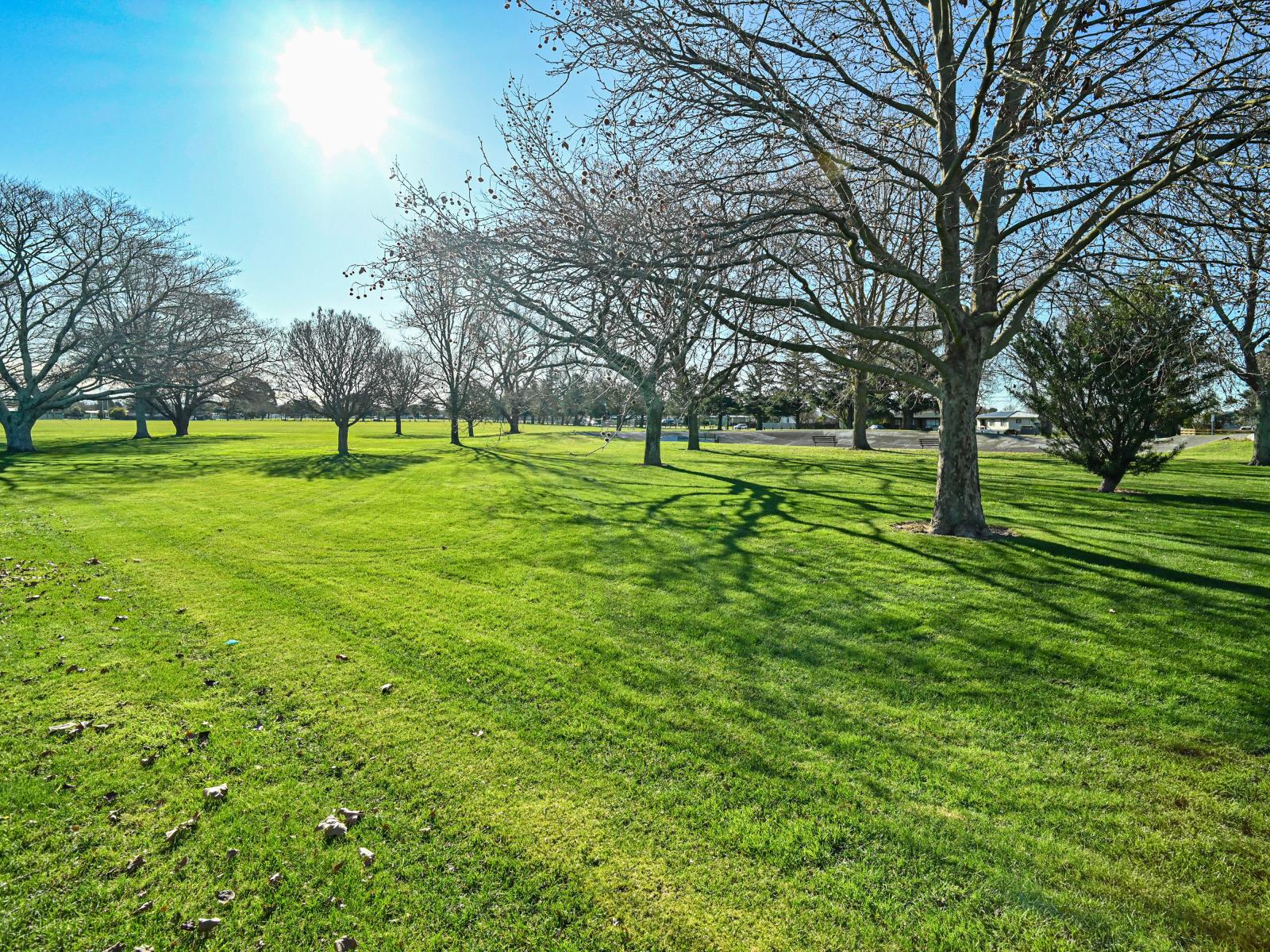 32 Ardrossan Avenue, Flaxmere
