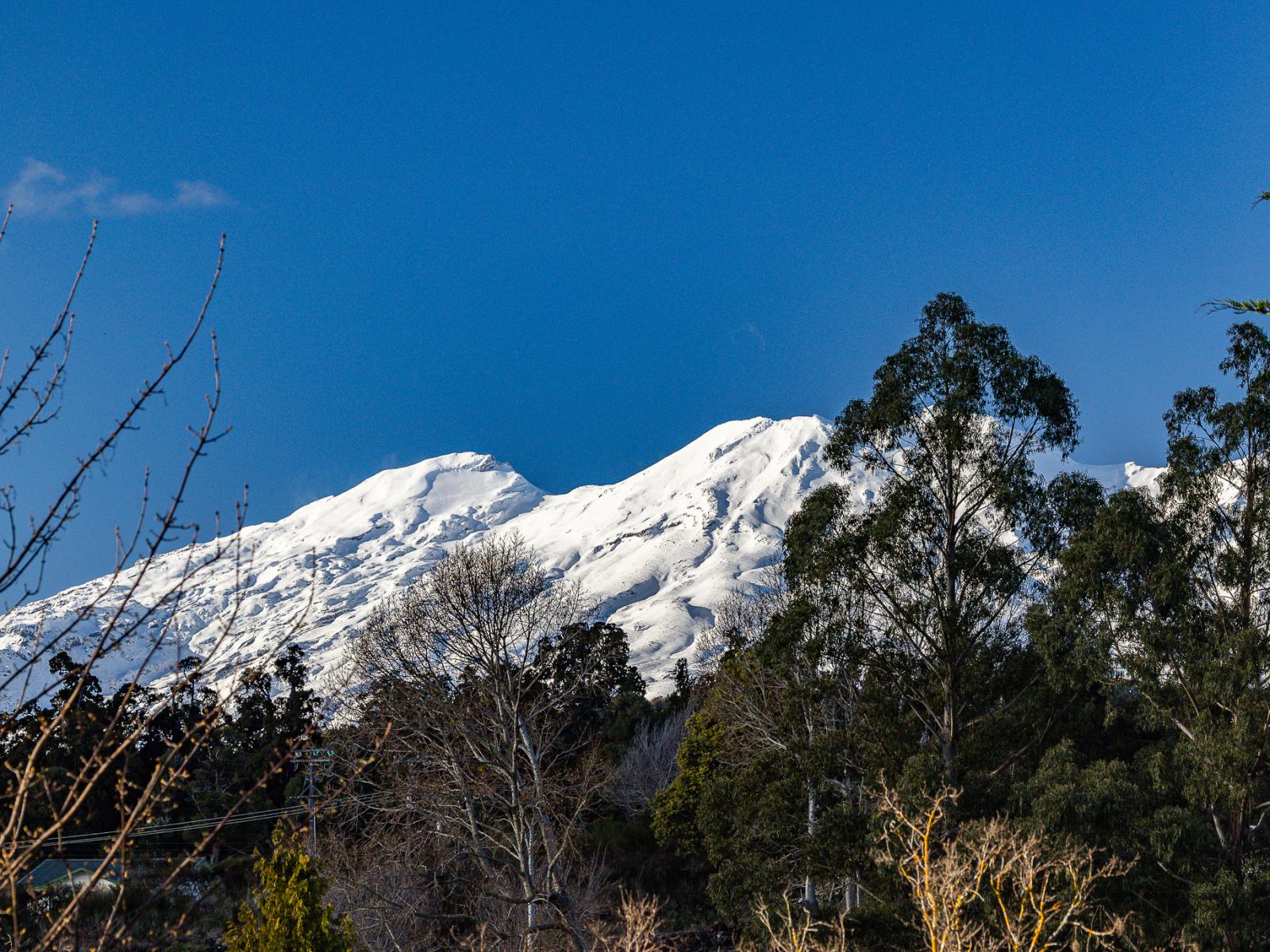 22a Park Avenue, Ohakune