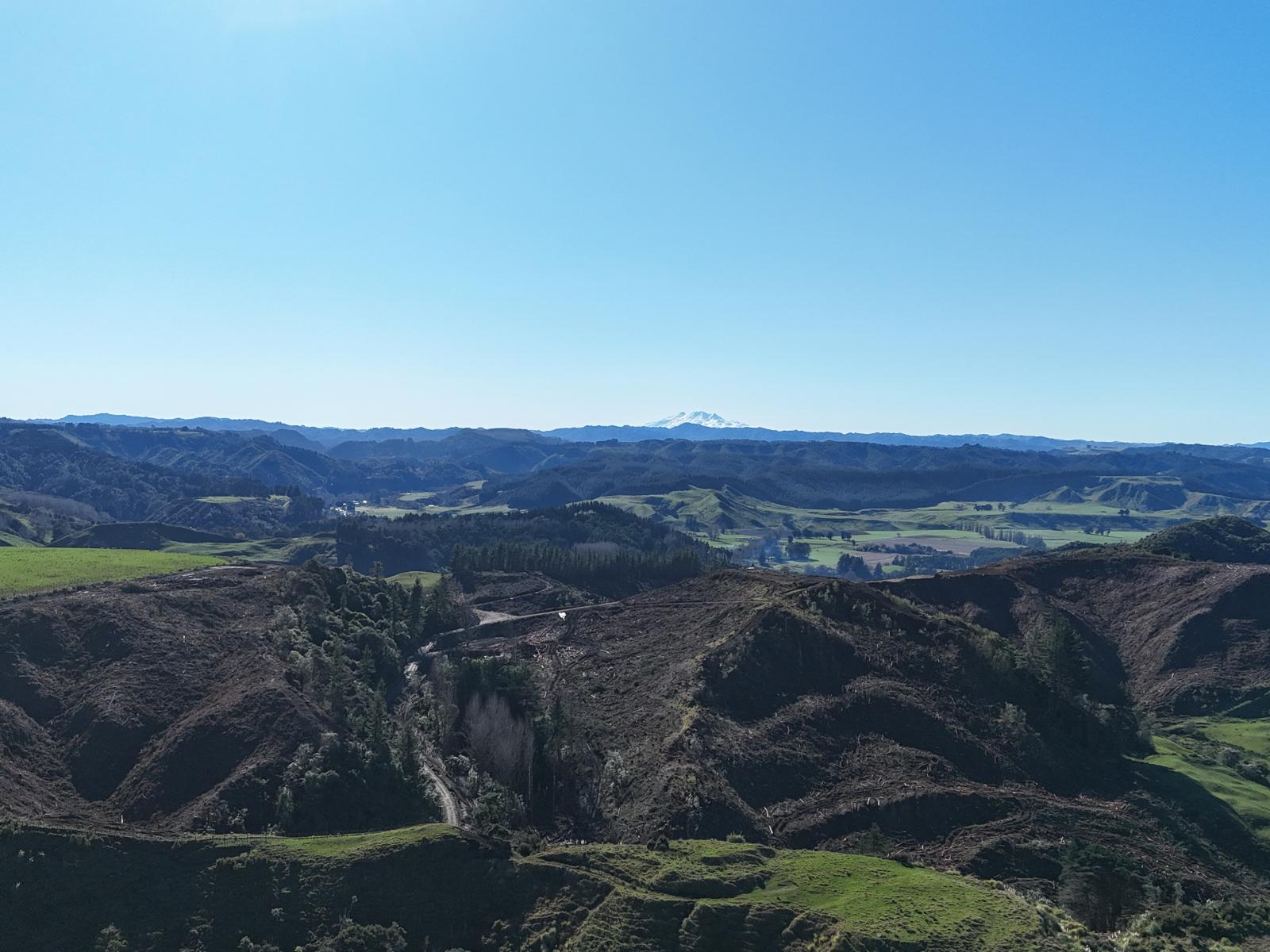 Waireka Road, Papaiti