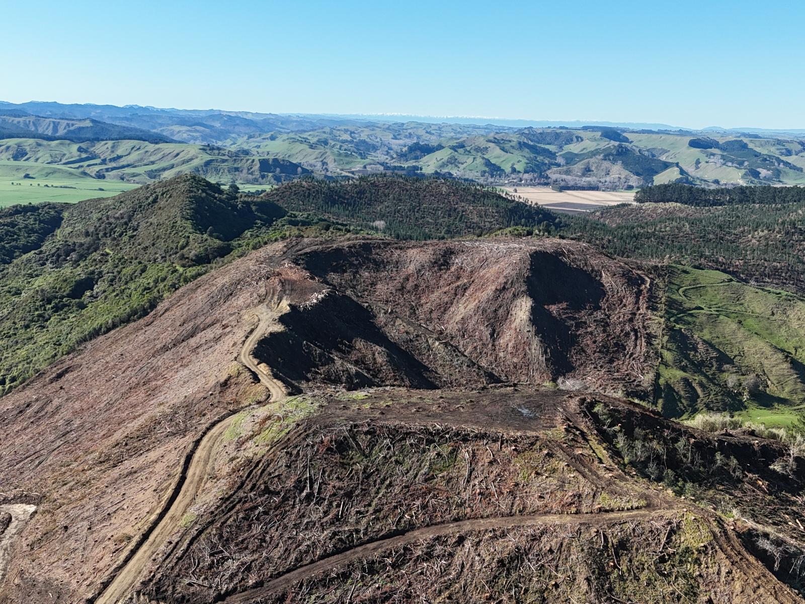 Waireka Road, Papaiti