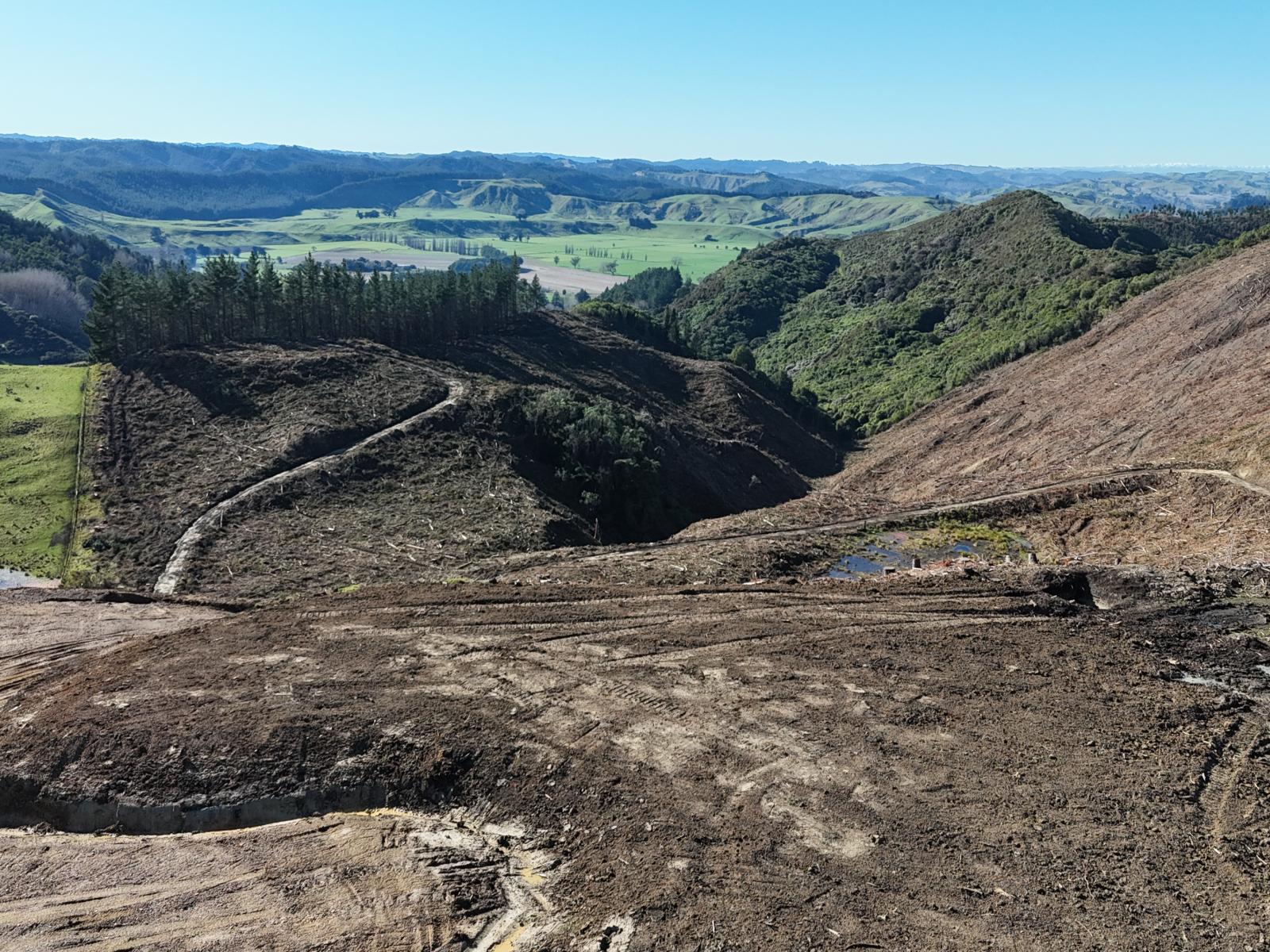 Waireka Road, Papaiti