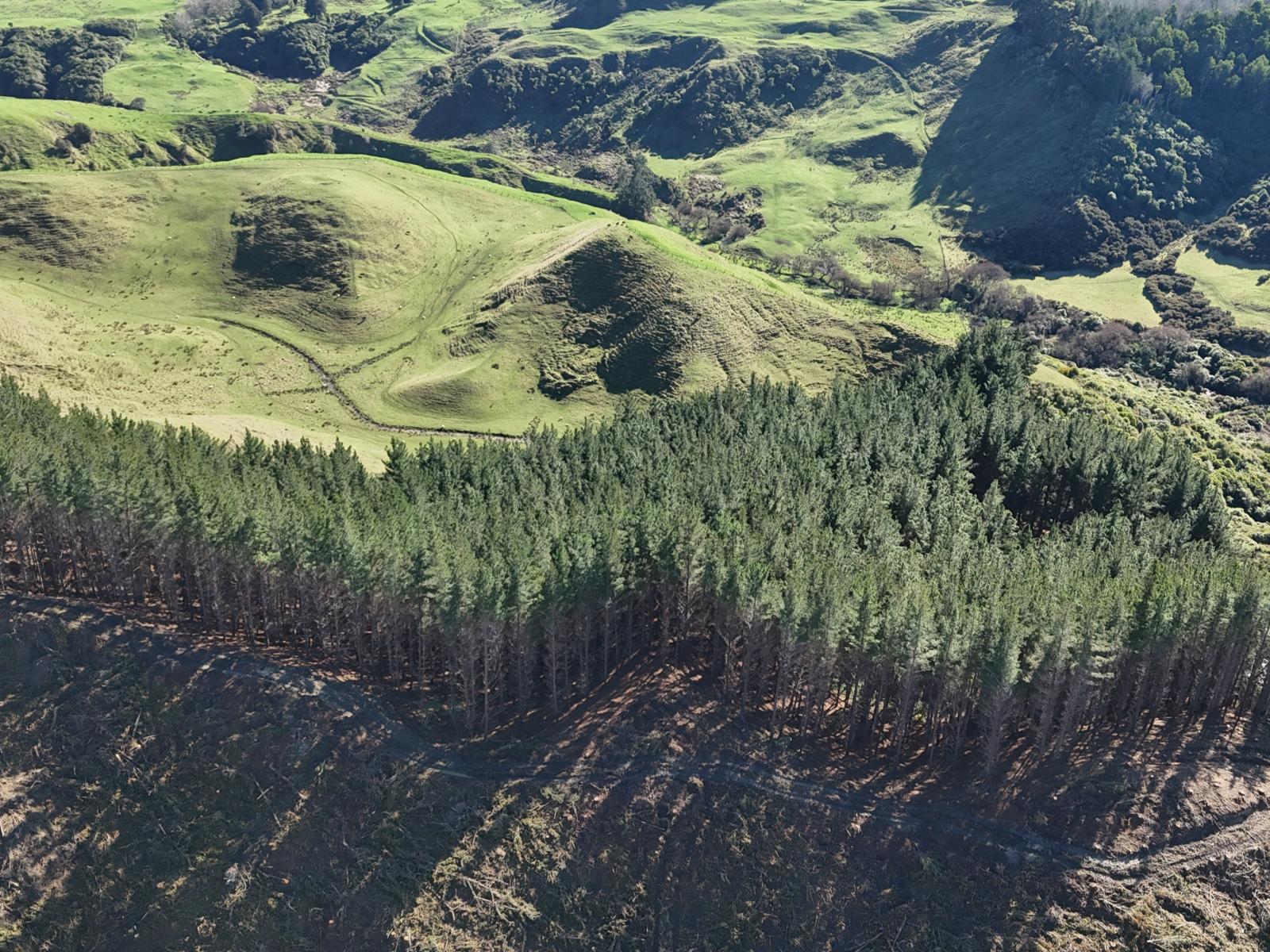 Waireka Road, Papaiti