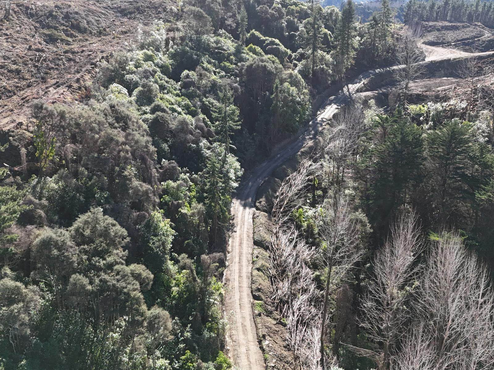 Waireka Road, Papaiti