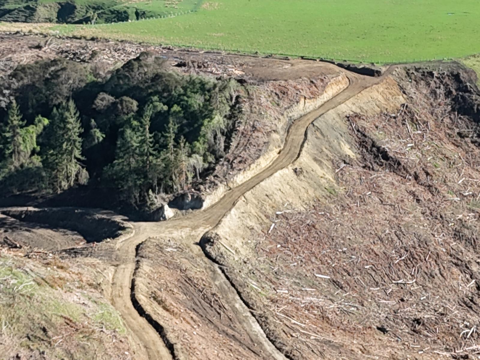 Waireka Road, Papaiti