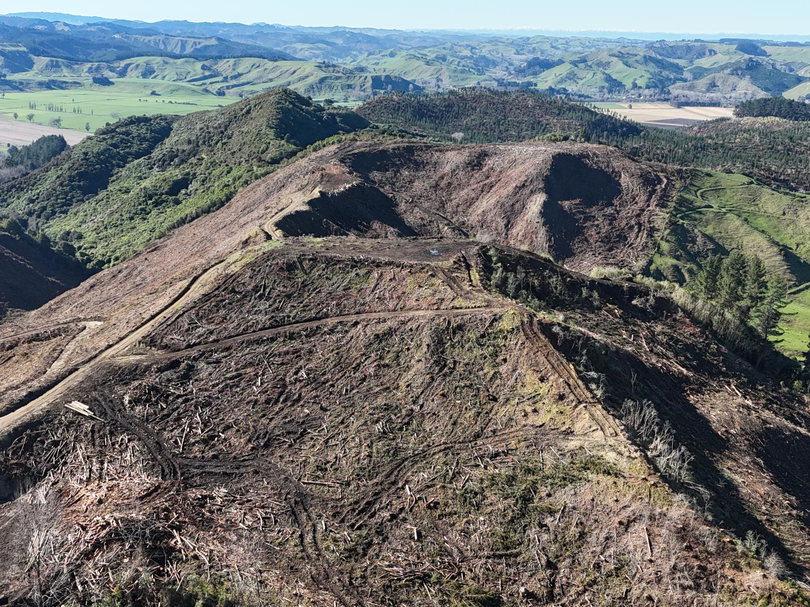 Waireka Road, Papaiti