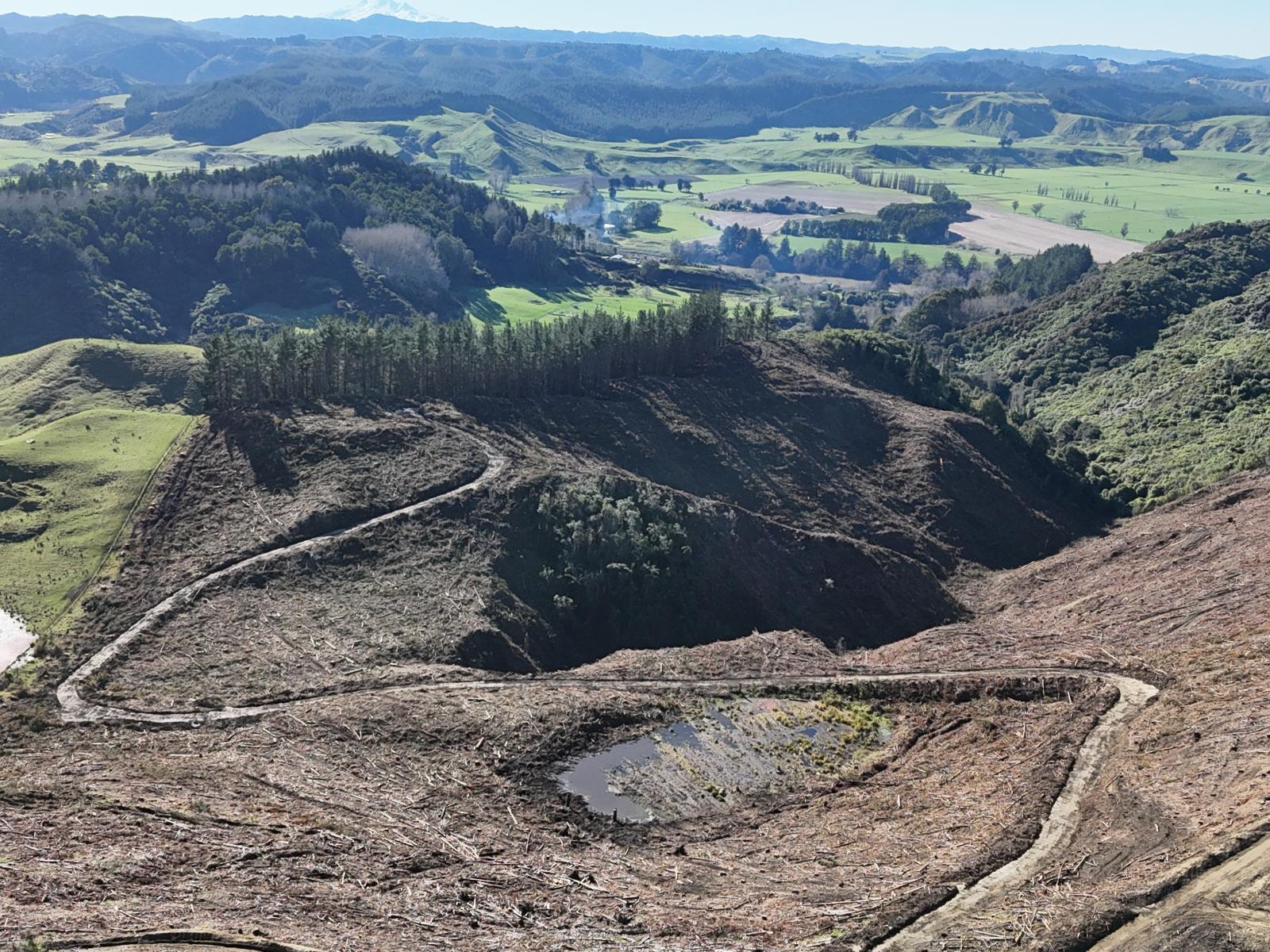 Waireka Road, Papaiti