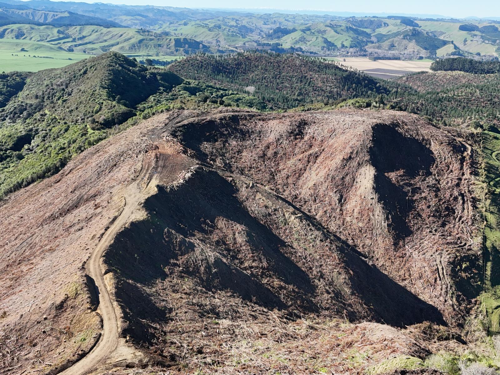 Waireka Road, Papaiti