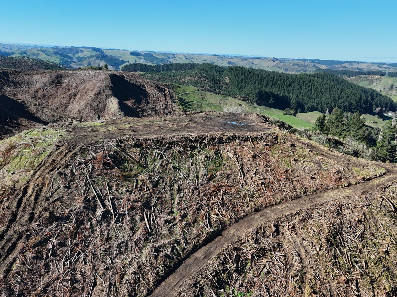 Waireka Road, Papaiti