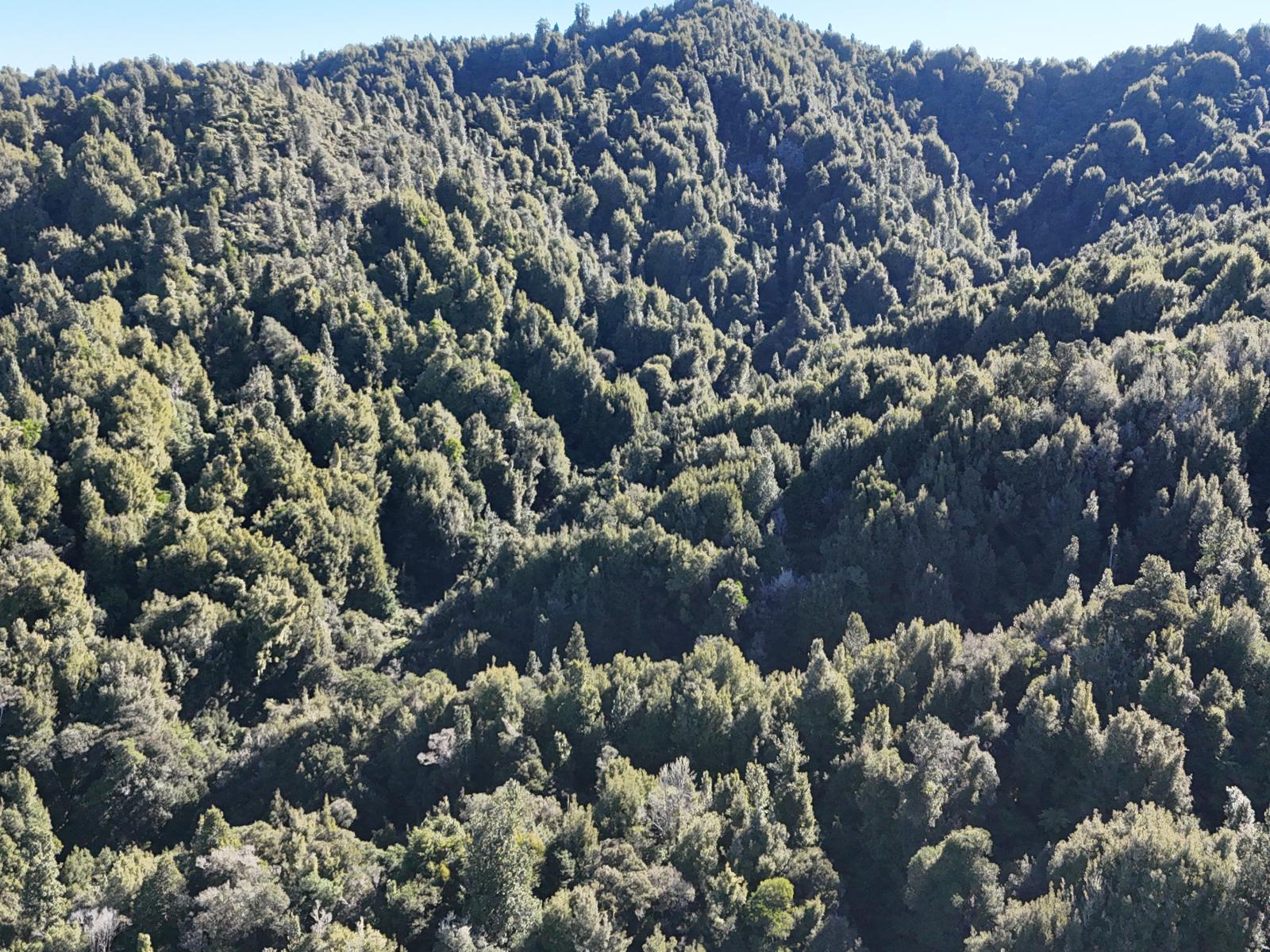 2552 Kauarapaoa Road, Paparangi