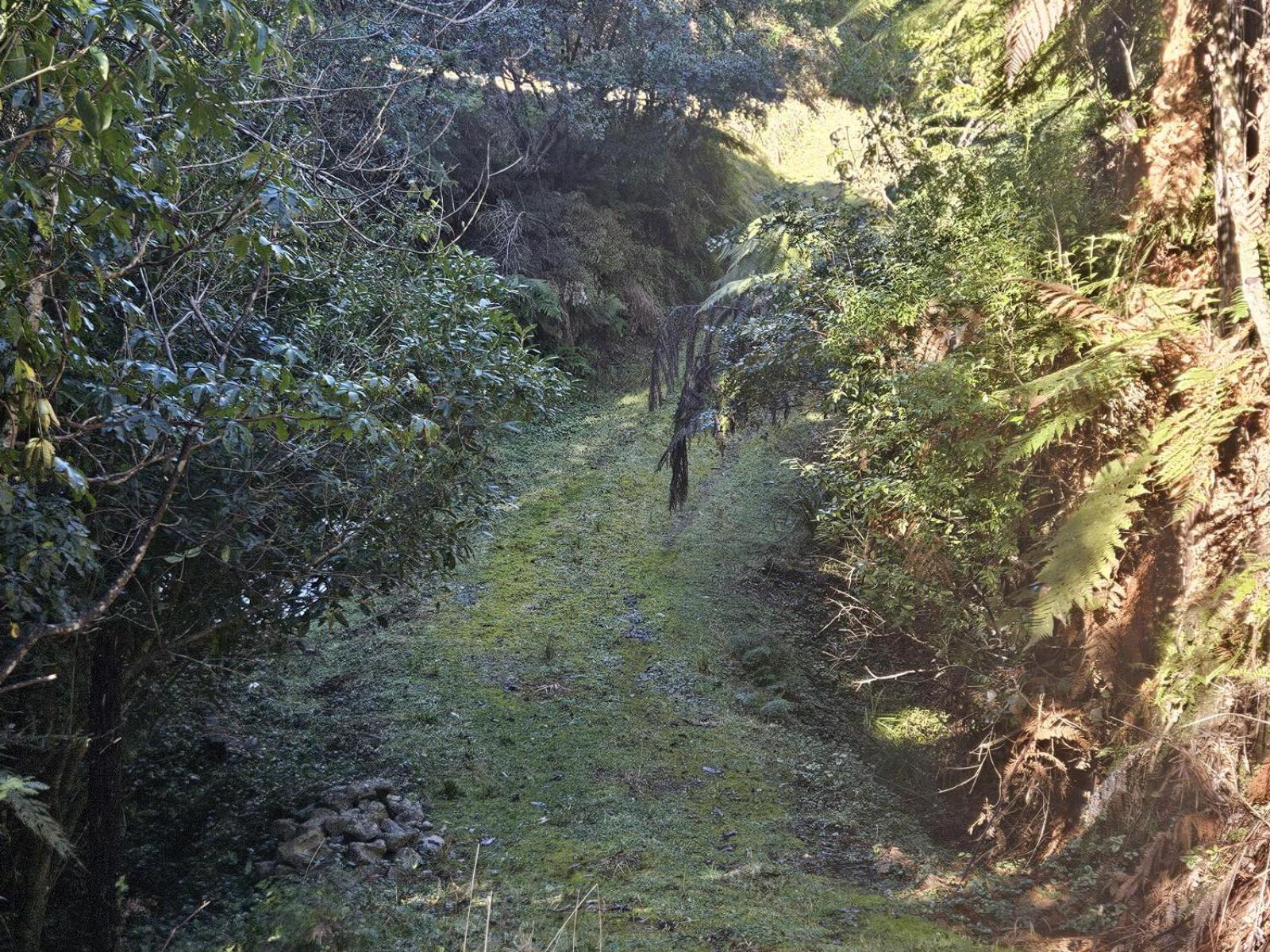 2552 Kauarapaoa Road, Paparangi