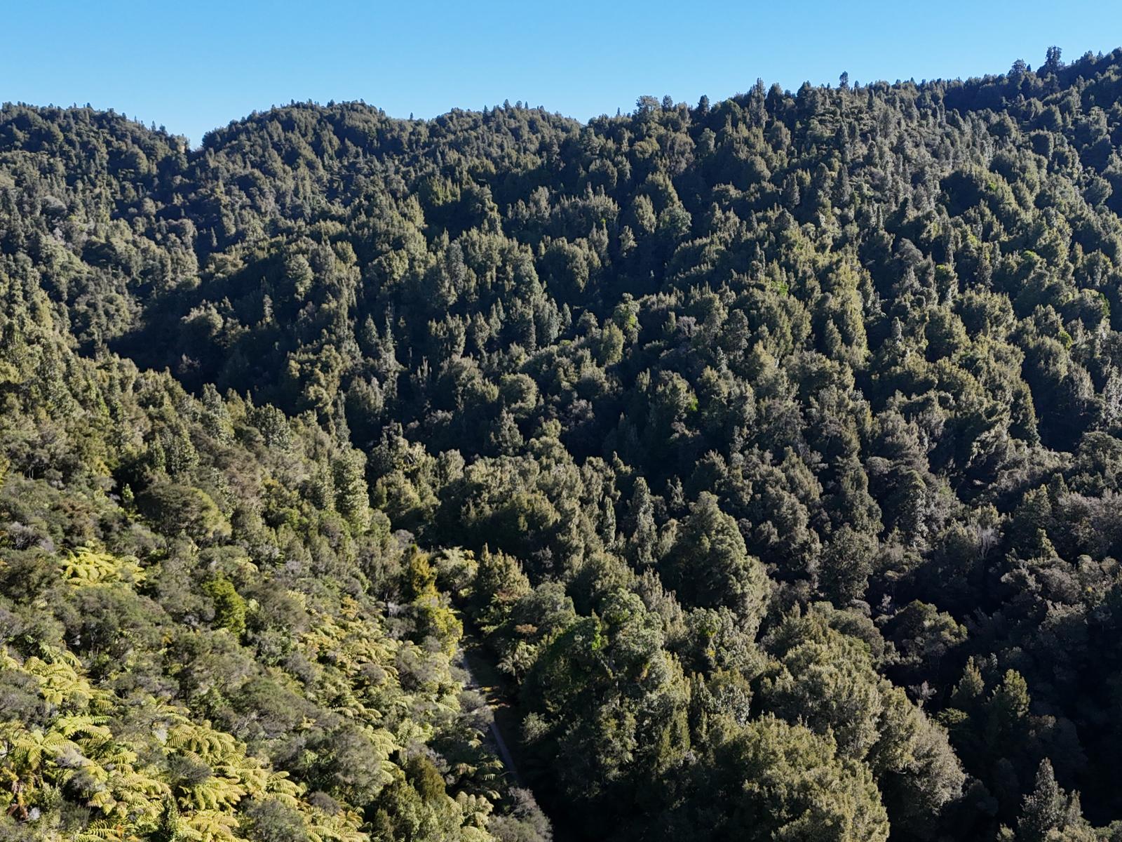 2552 Kauarapaoa Road, Paparangi