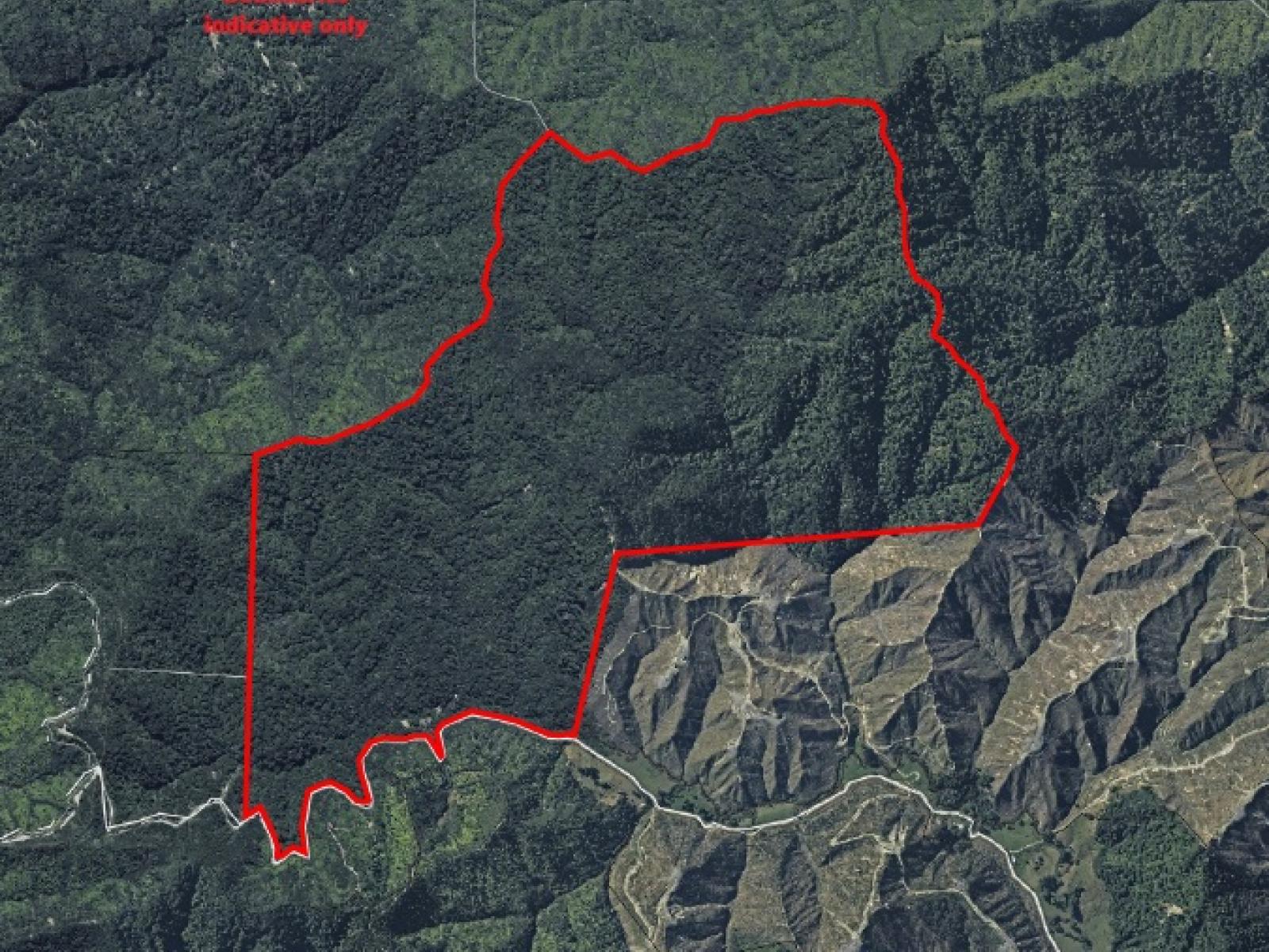 2552 Kauarapaoa Road, Paparangi
