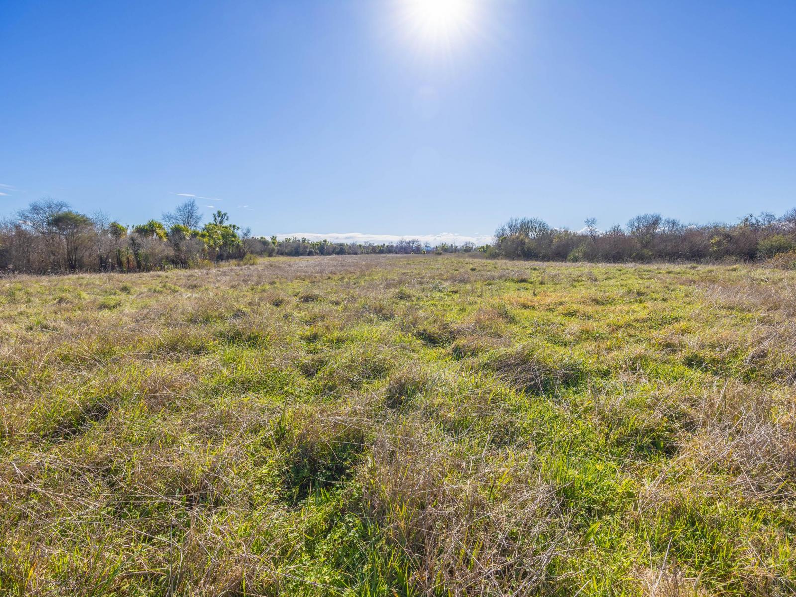 Rotowaro Road, Huntly