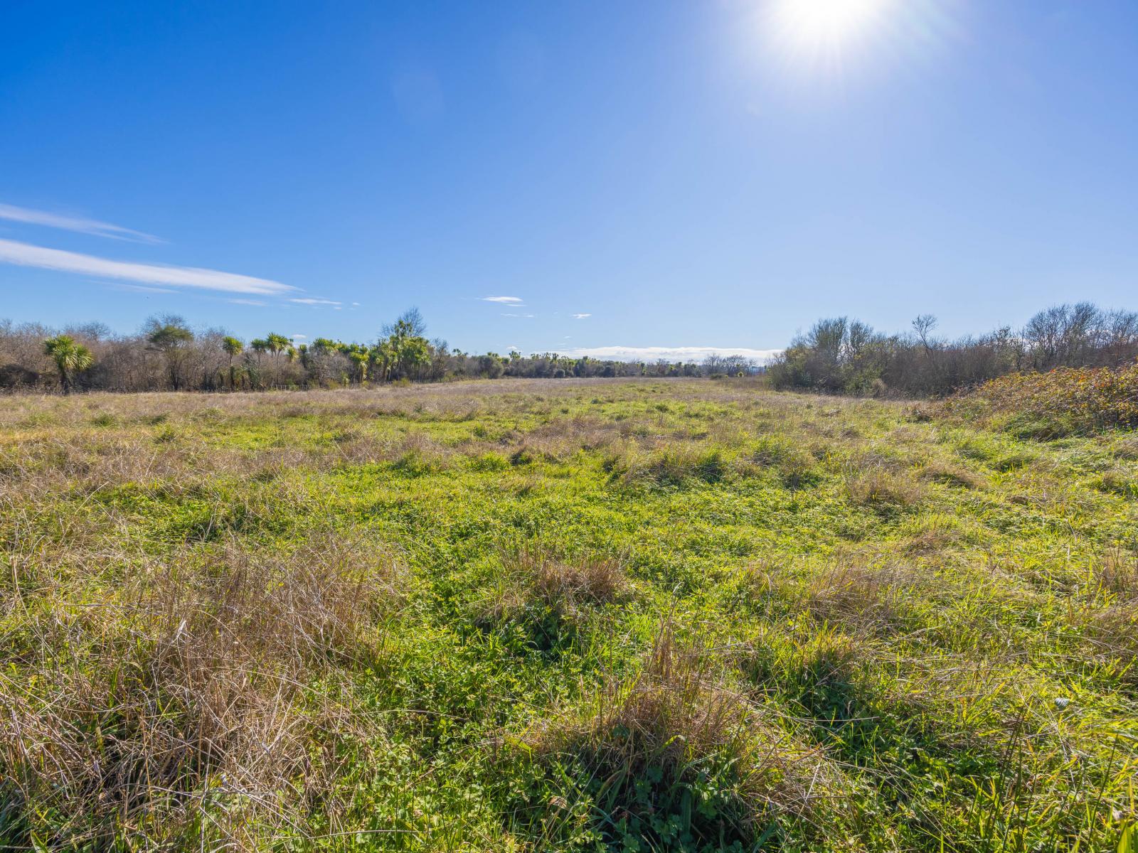 Rotowaro Road, Huntly