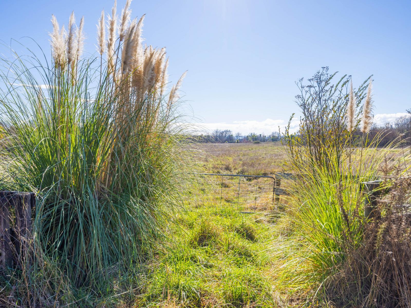Rotowaro Road, Huntly
