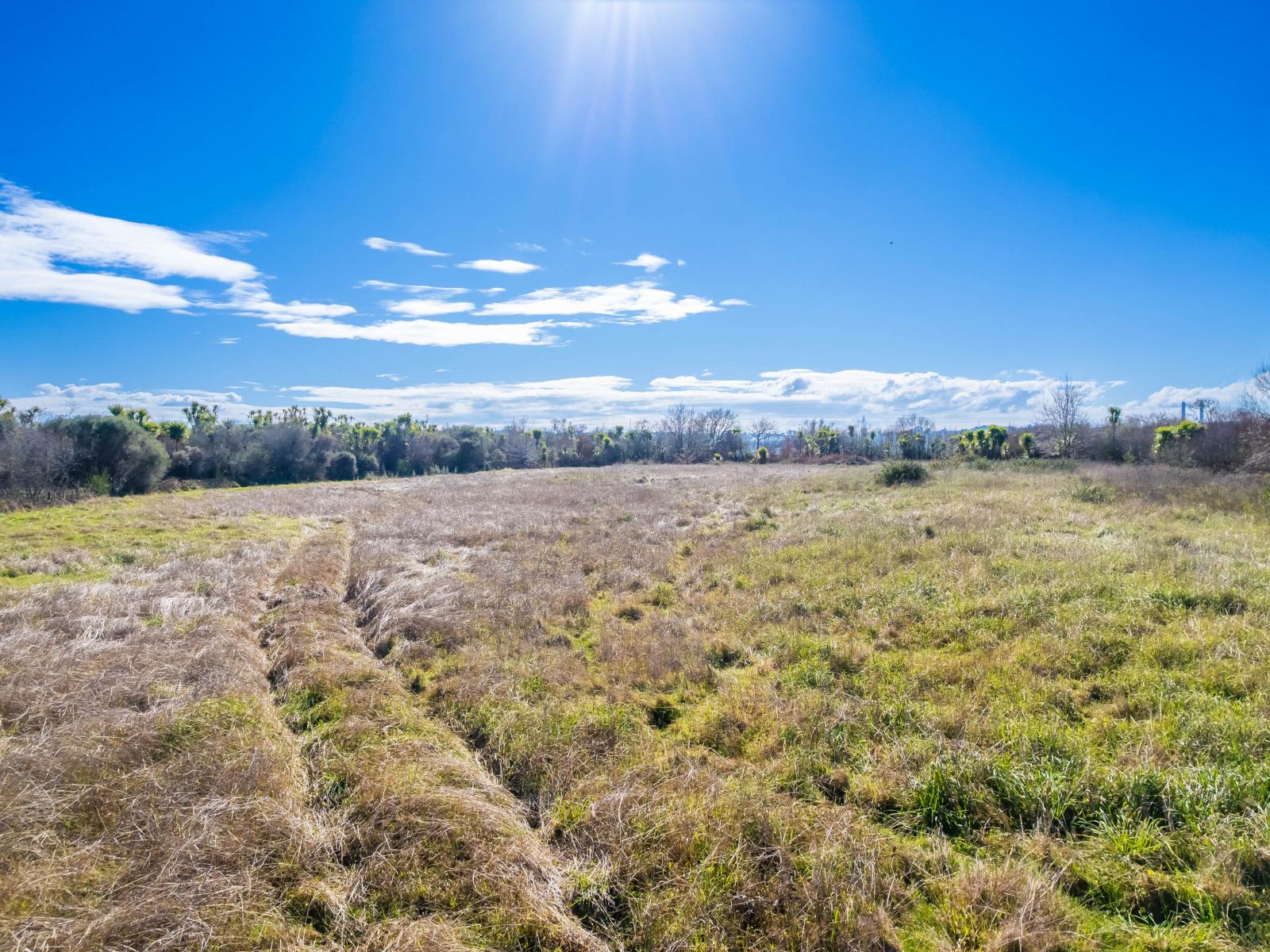 Rotowaro Road, Huntly