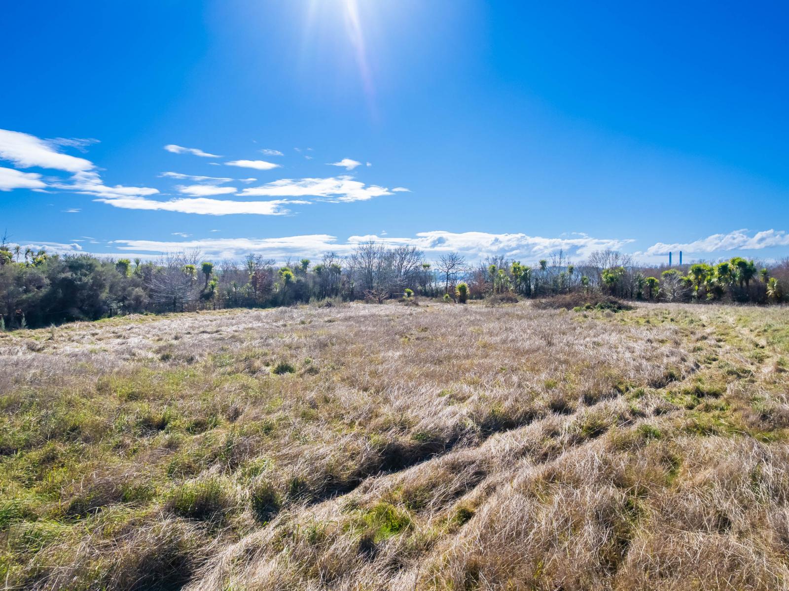 Rotowaro Road, Huntly