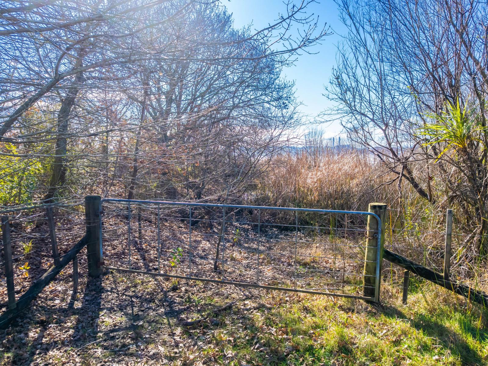 Rotowaro Road, Huntly
